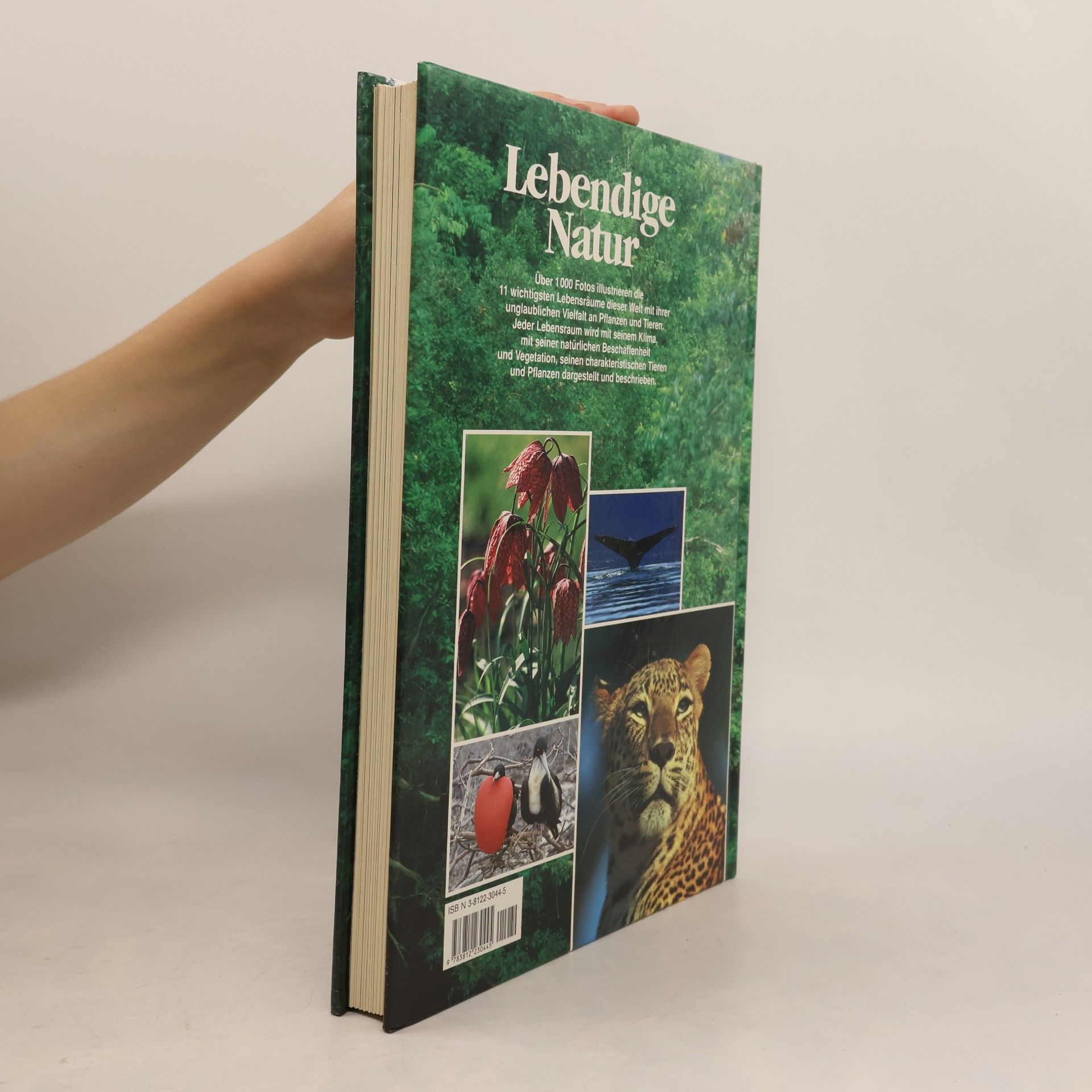 Teresa Farino Lebendige Natur