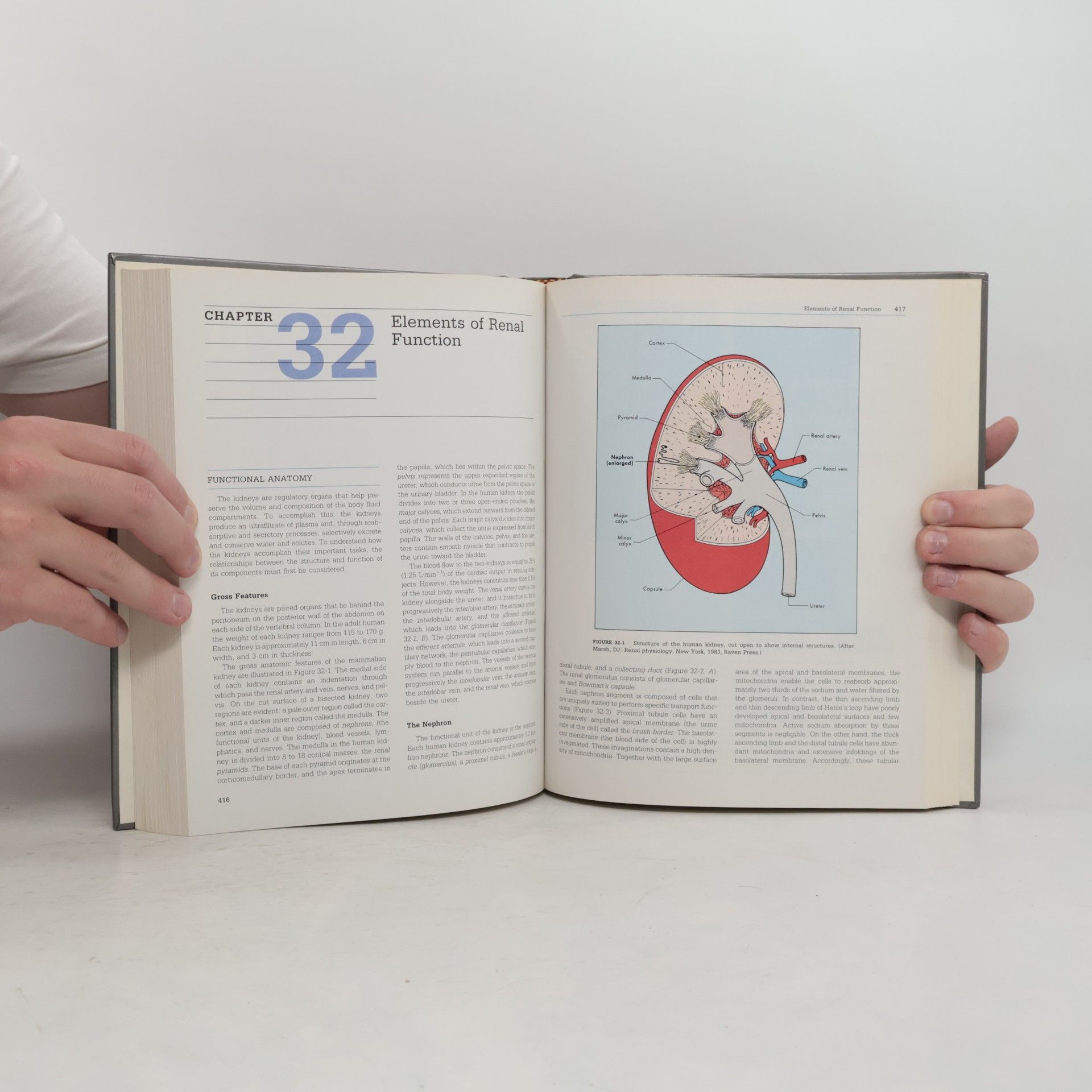 Robert M. Berne Principles of Physiology