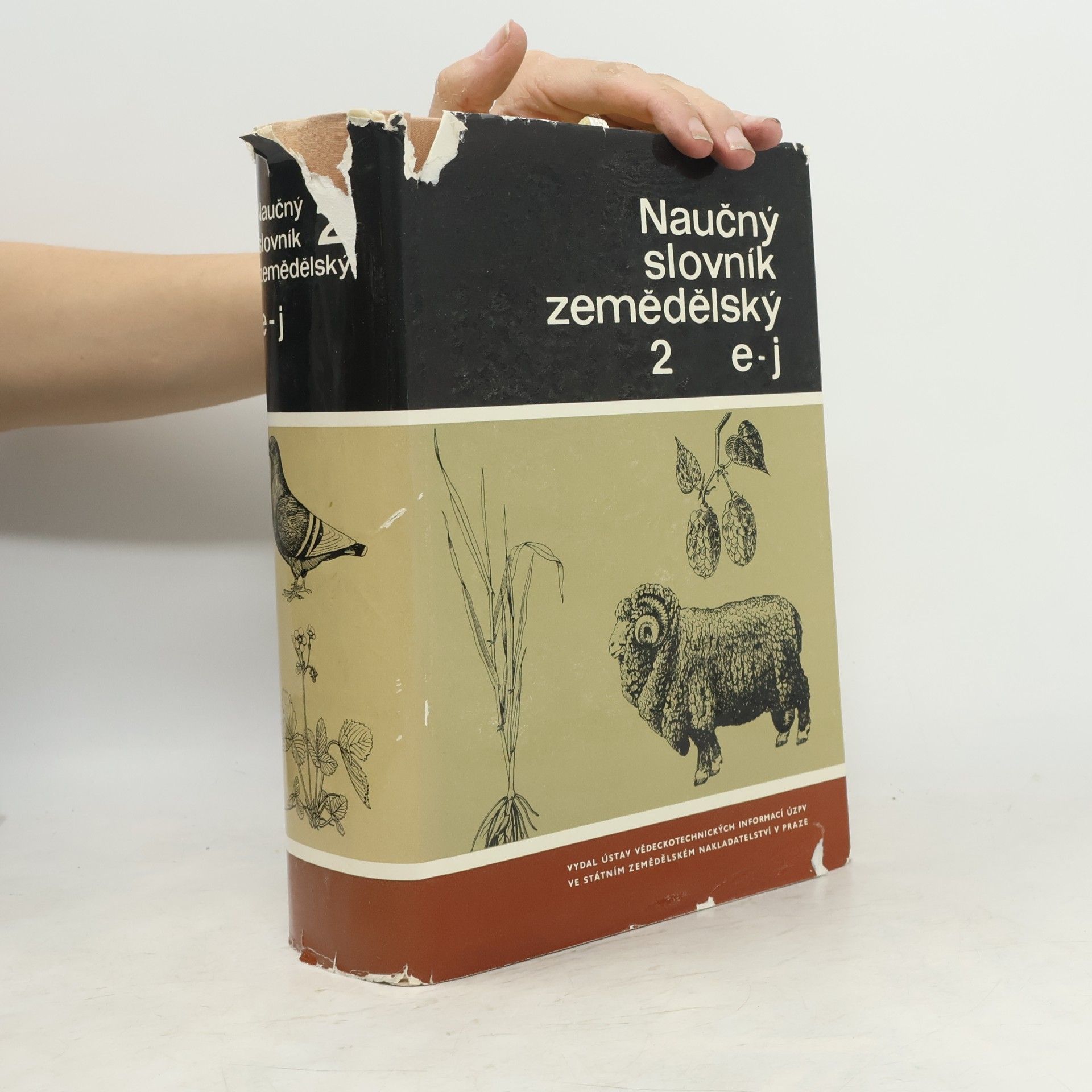 Kolektiv autorů Naučný slovník zemědělský 2. E-J