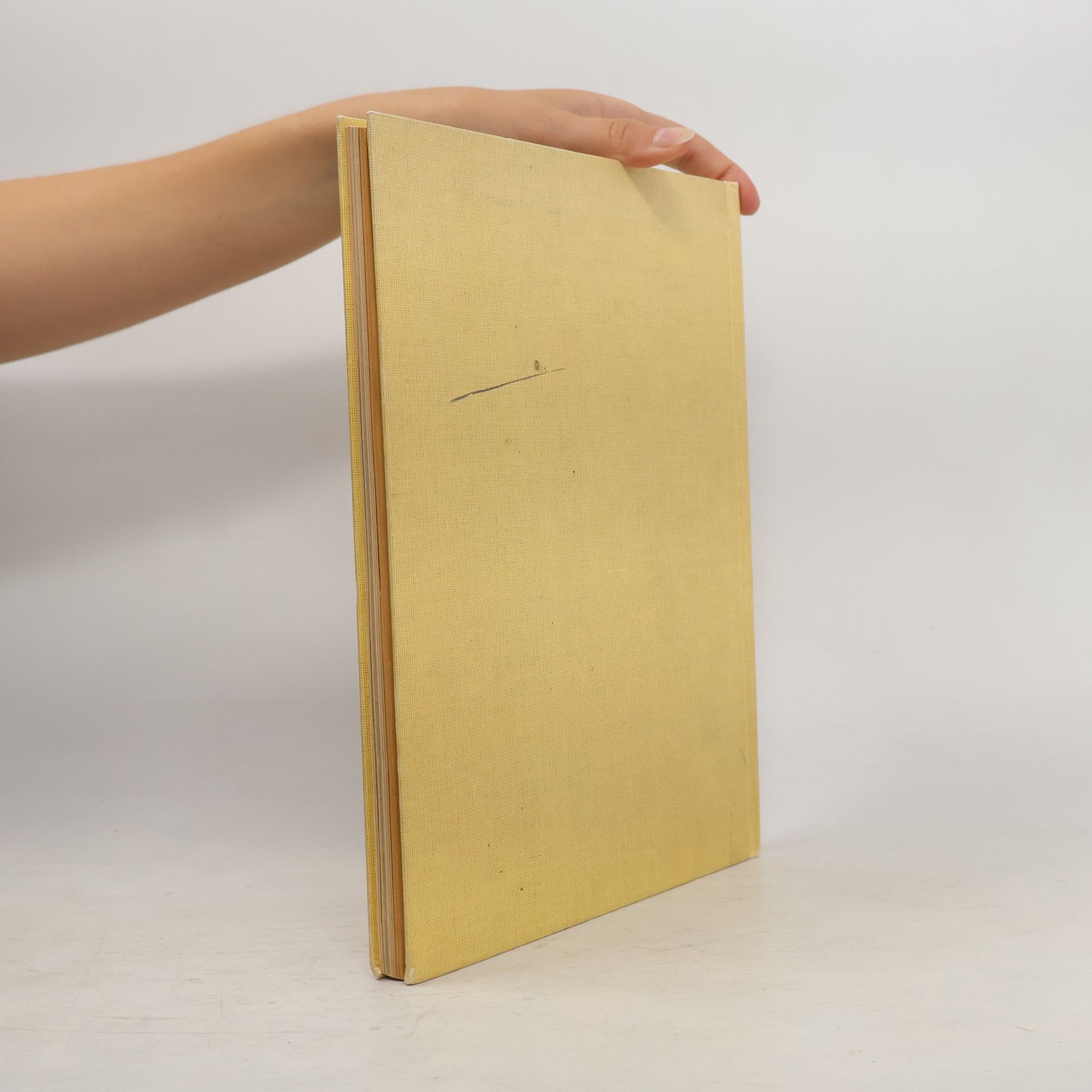 Hannelore Kopp Burda. Großes buntes Handarbeitsbuch