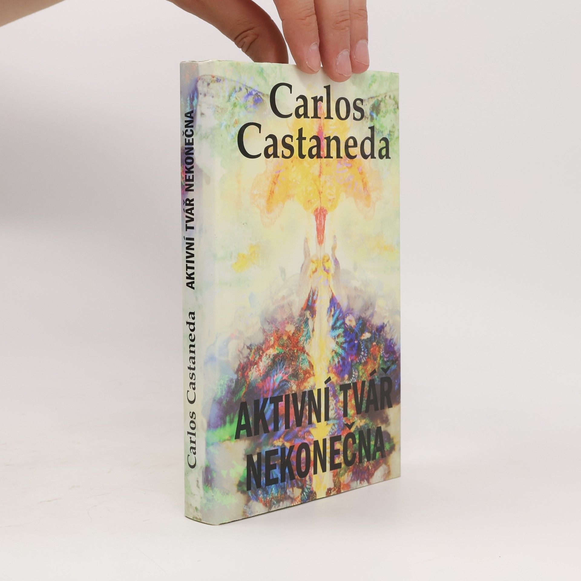 Carlos Castaneda Aktivní tvář nekonečna. Castaneda. 12. díl