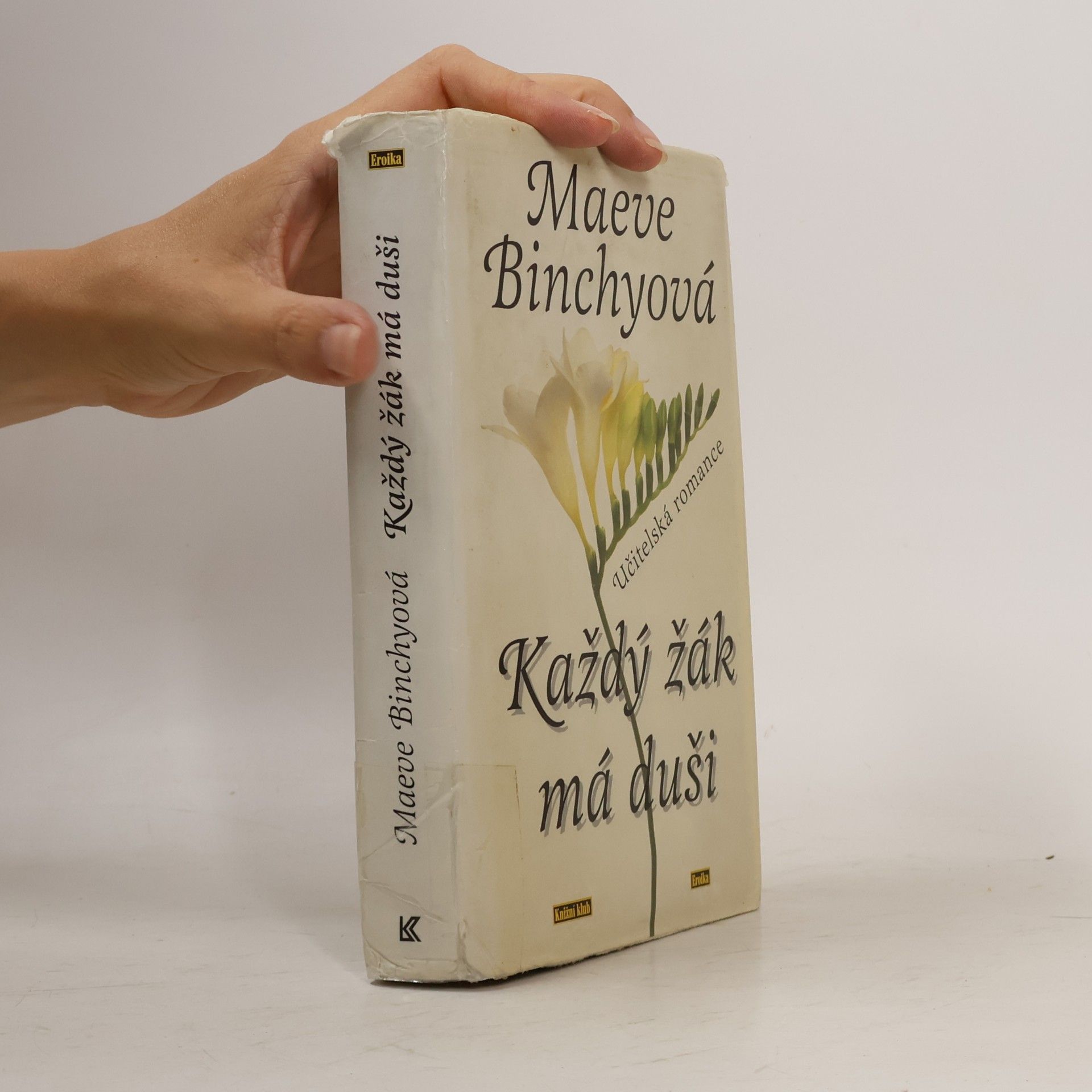 Maeve Binchy Každý žák má duši: Učitelská romance