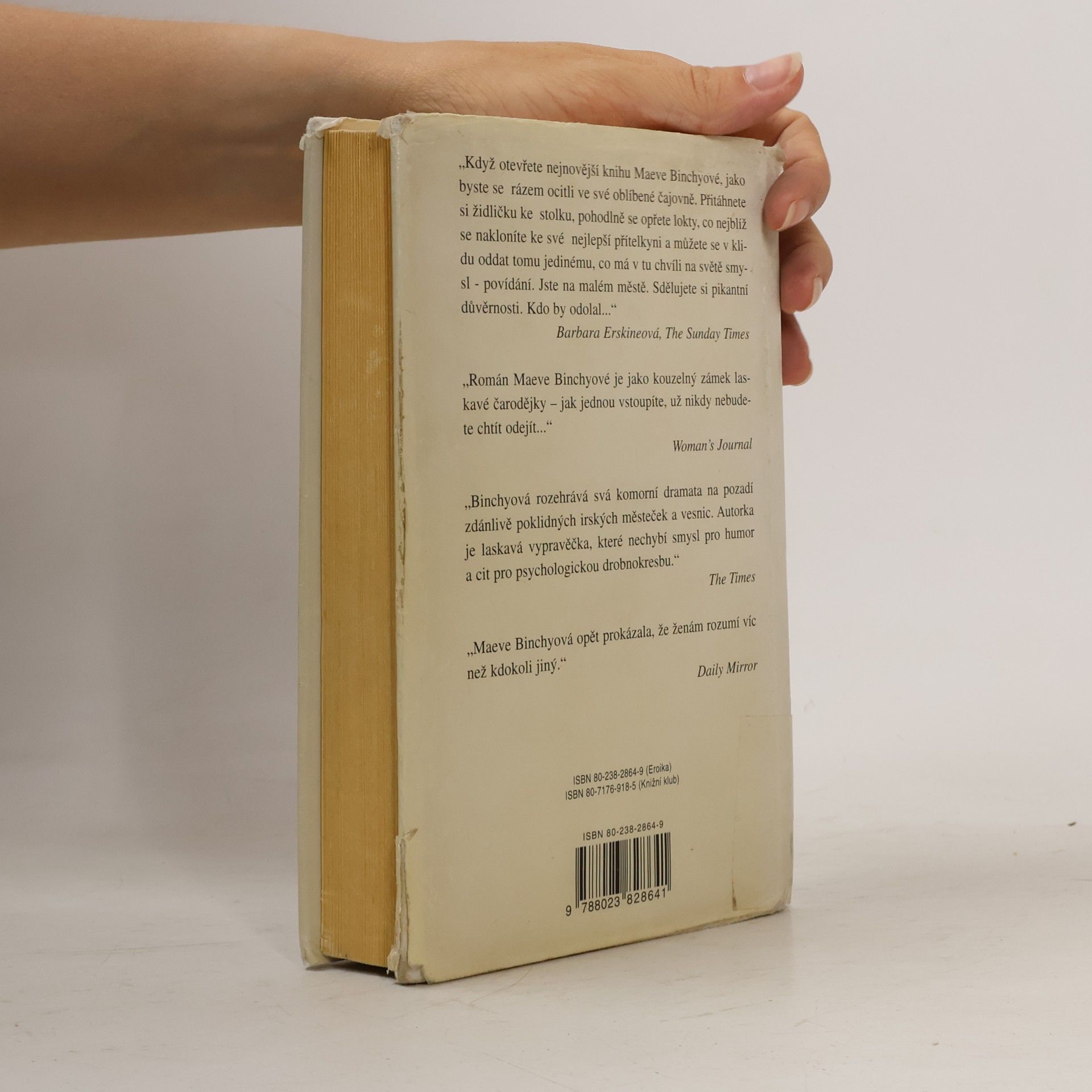 Maeve Binchy Každý žák má duši: Učitelská romance