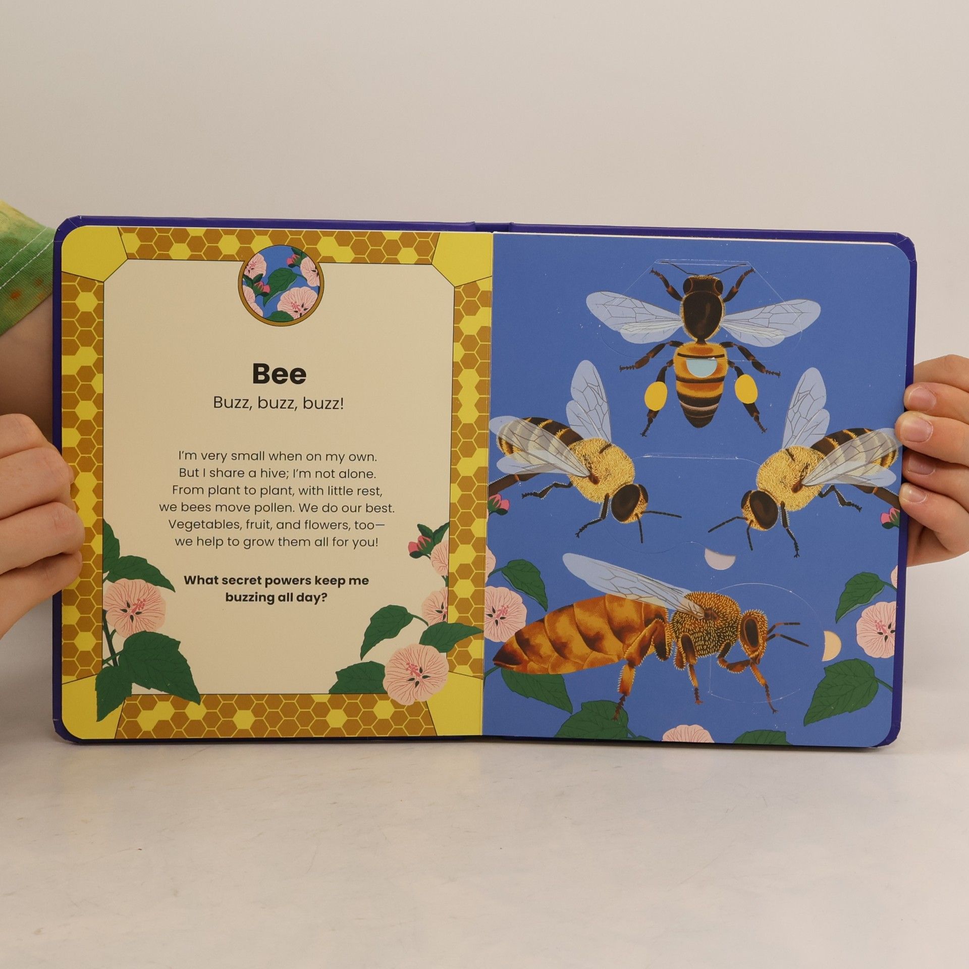 Soledad Romero Mariño The Secret Powers of Animals