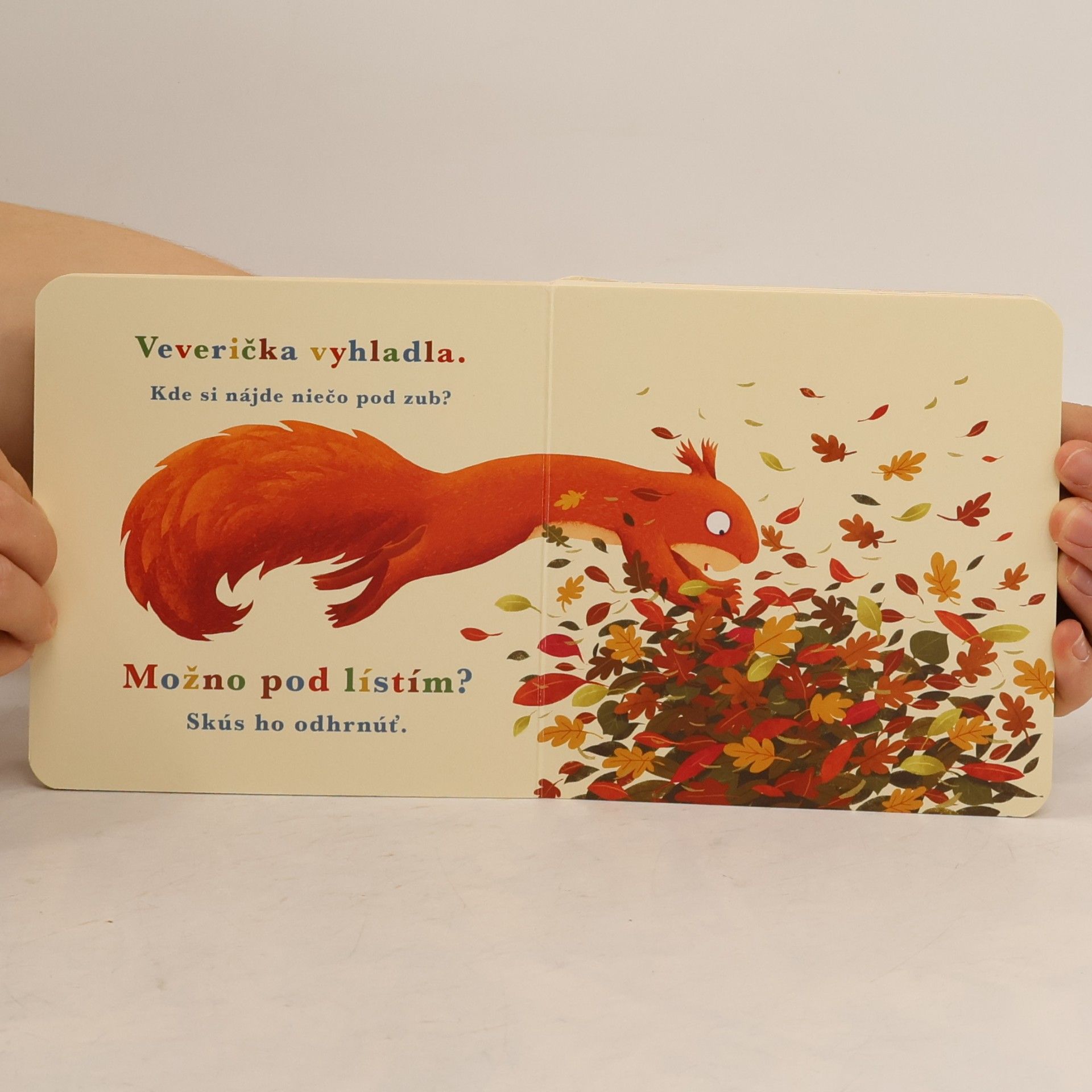 Dziubak Emilia Rok v lese: Veverička