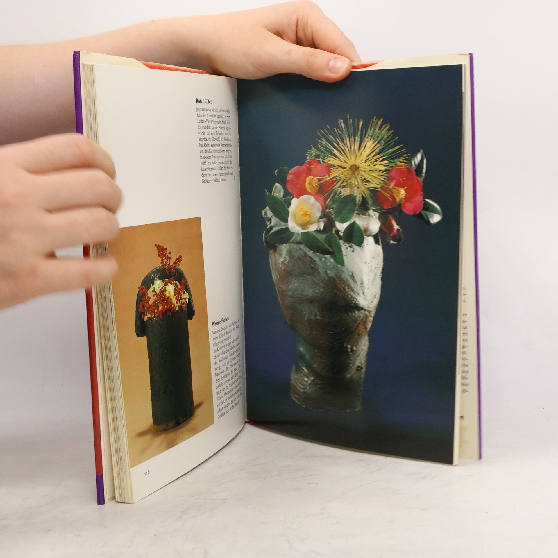 Kasumi Teshigahara Das Ikebana-Jahr