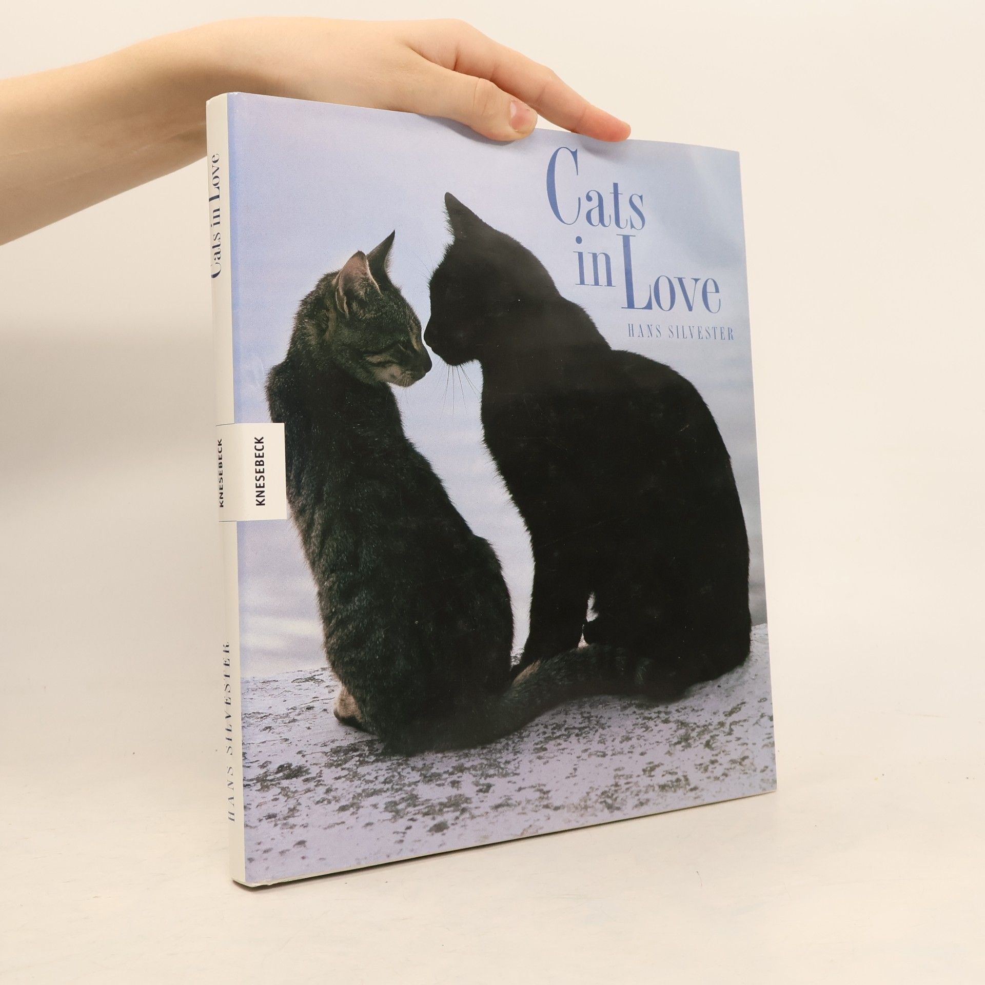 Cats in love