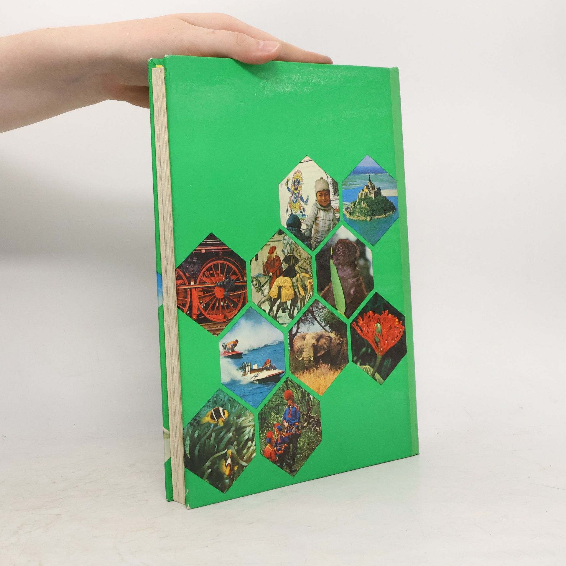 Autorenkollektiv Das grosse Reader's Digest Jugendbuch