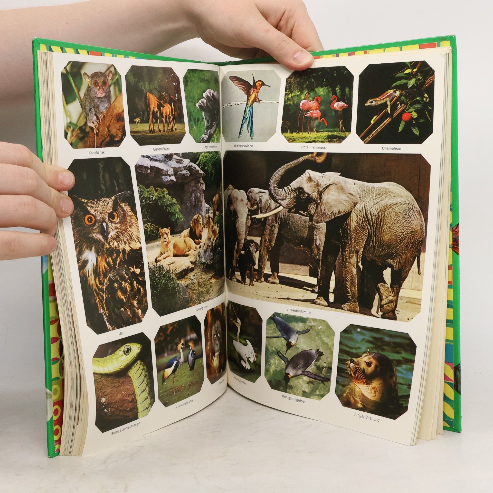 Autorenkollektiv Das grosse Reader's Digest Jugendbuch