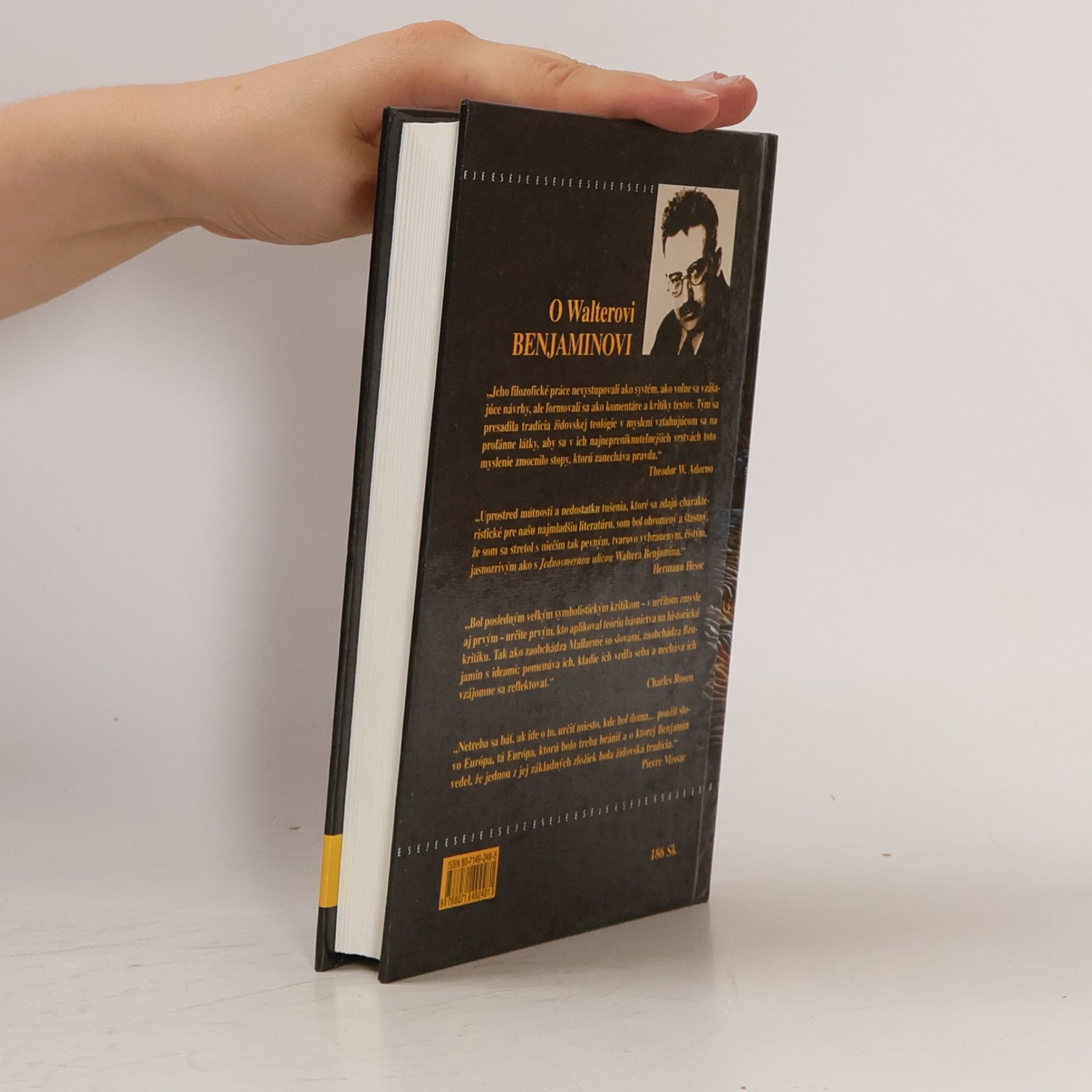 Walter Benjamin Iluminácie