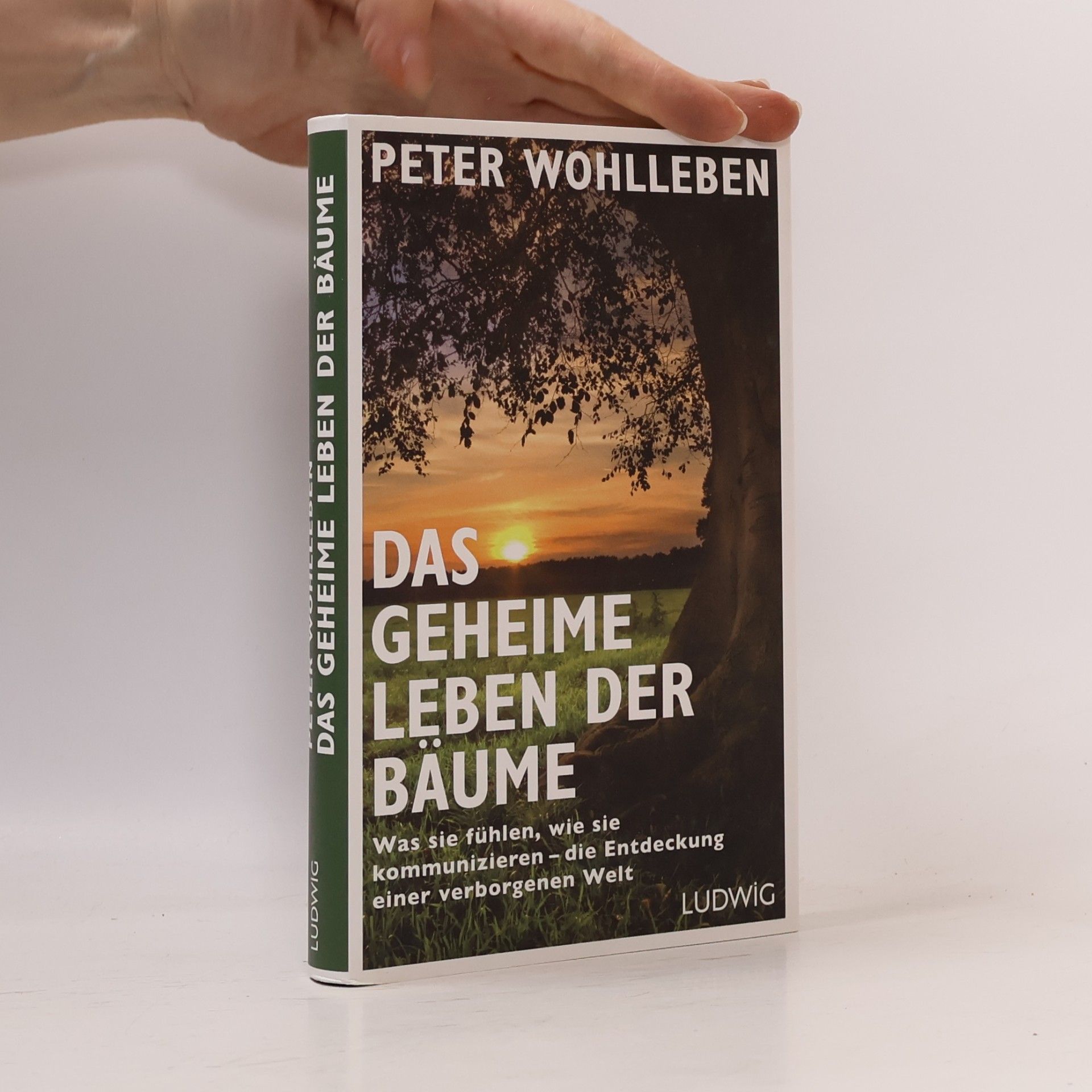 Peter Wohlleben Das geheime Leben der Bäume