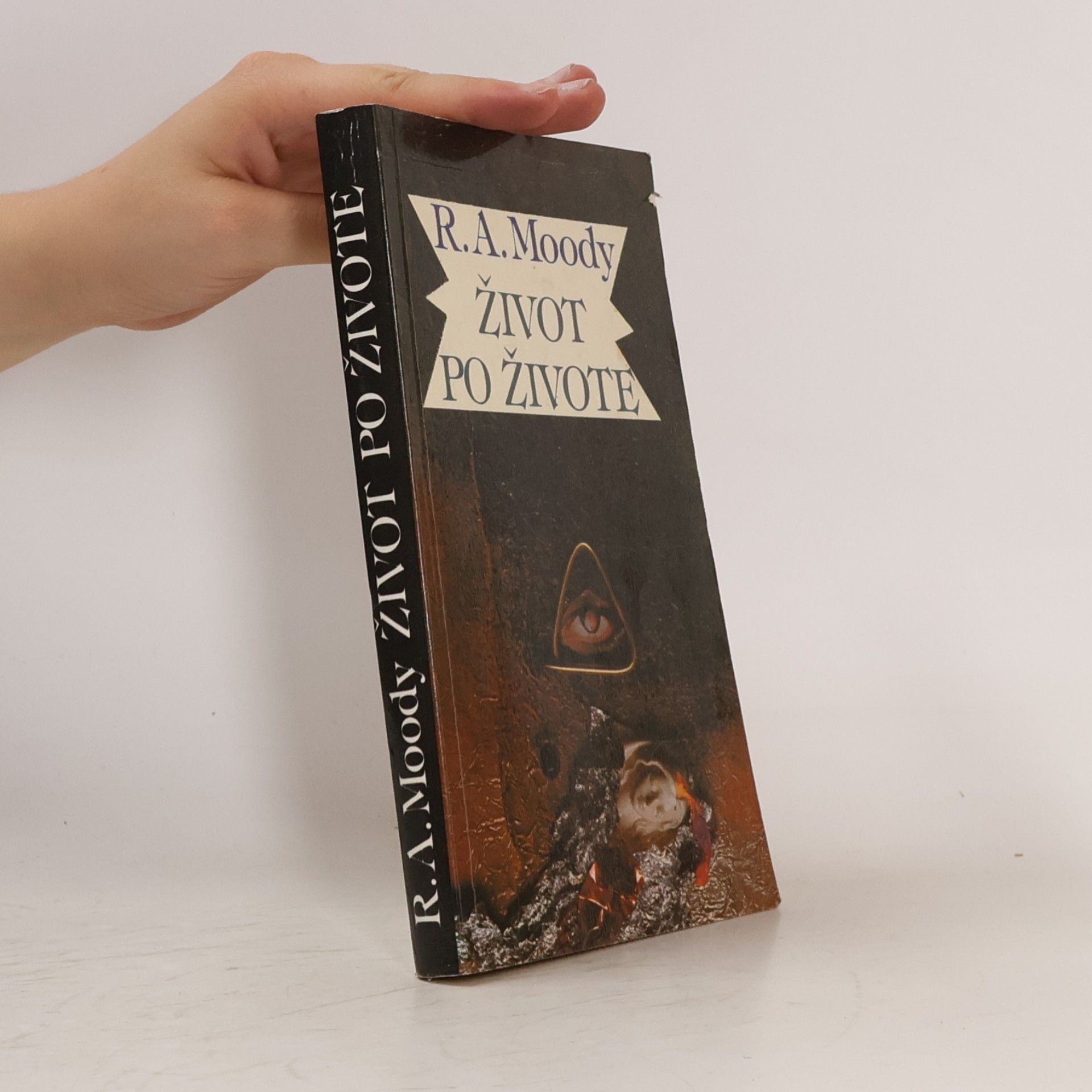 Raymond Moody Život po živote
