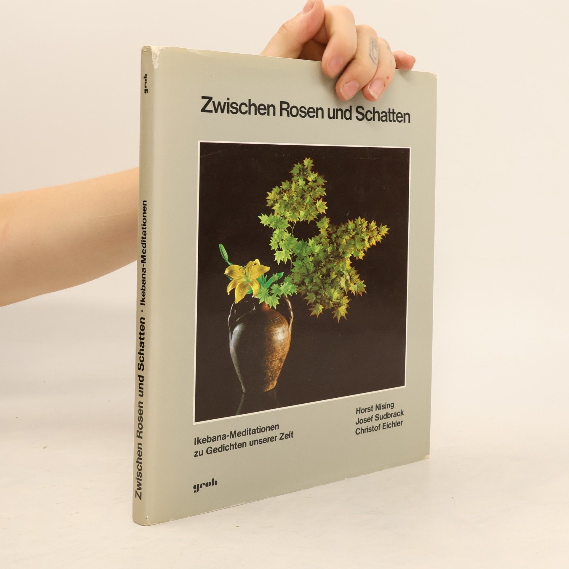 Zwischen Rosen und Schatten