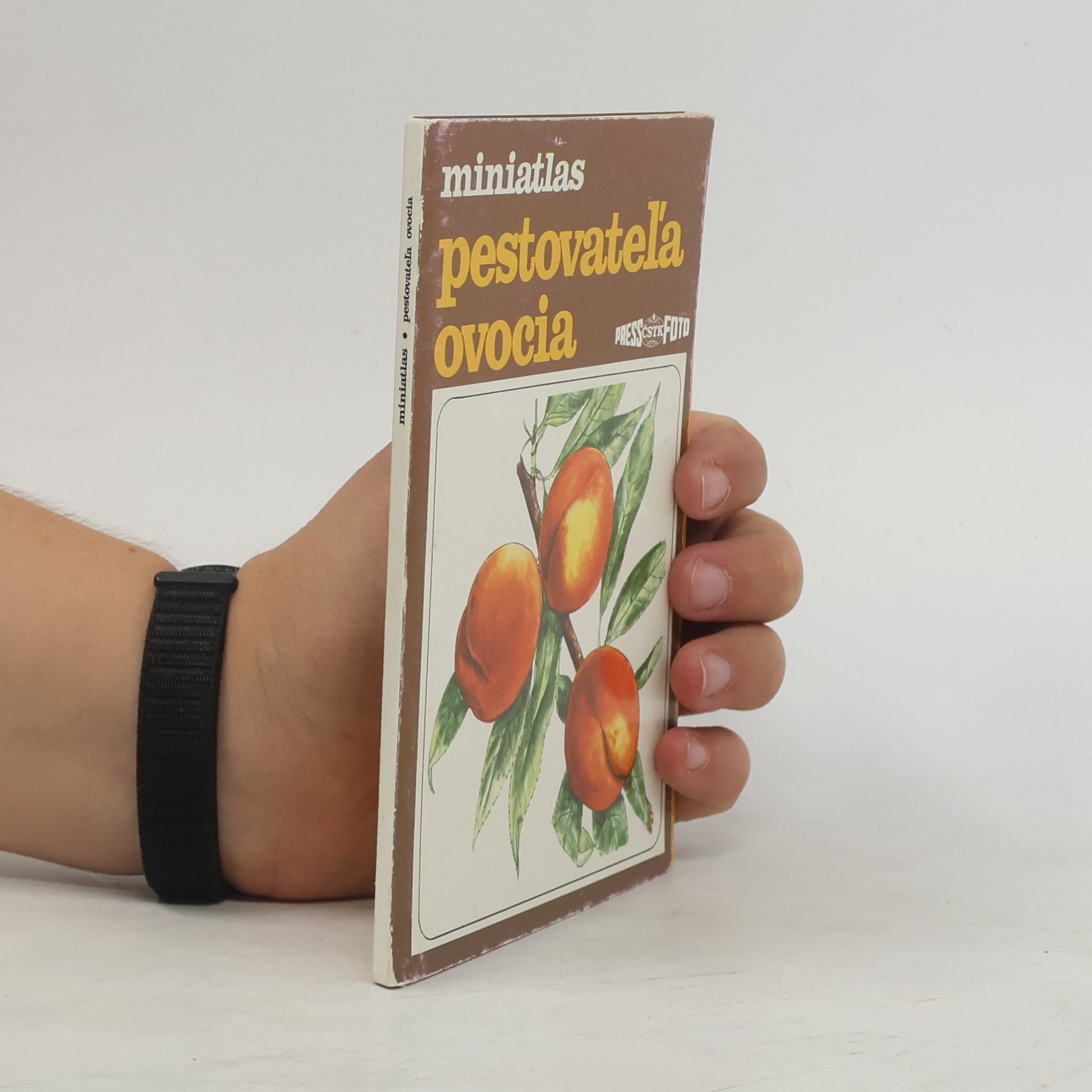 Autorenkollektiv Miniatlas pestovateľa ovocia