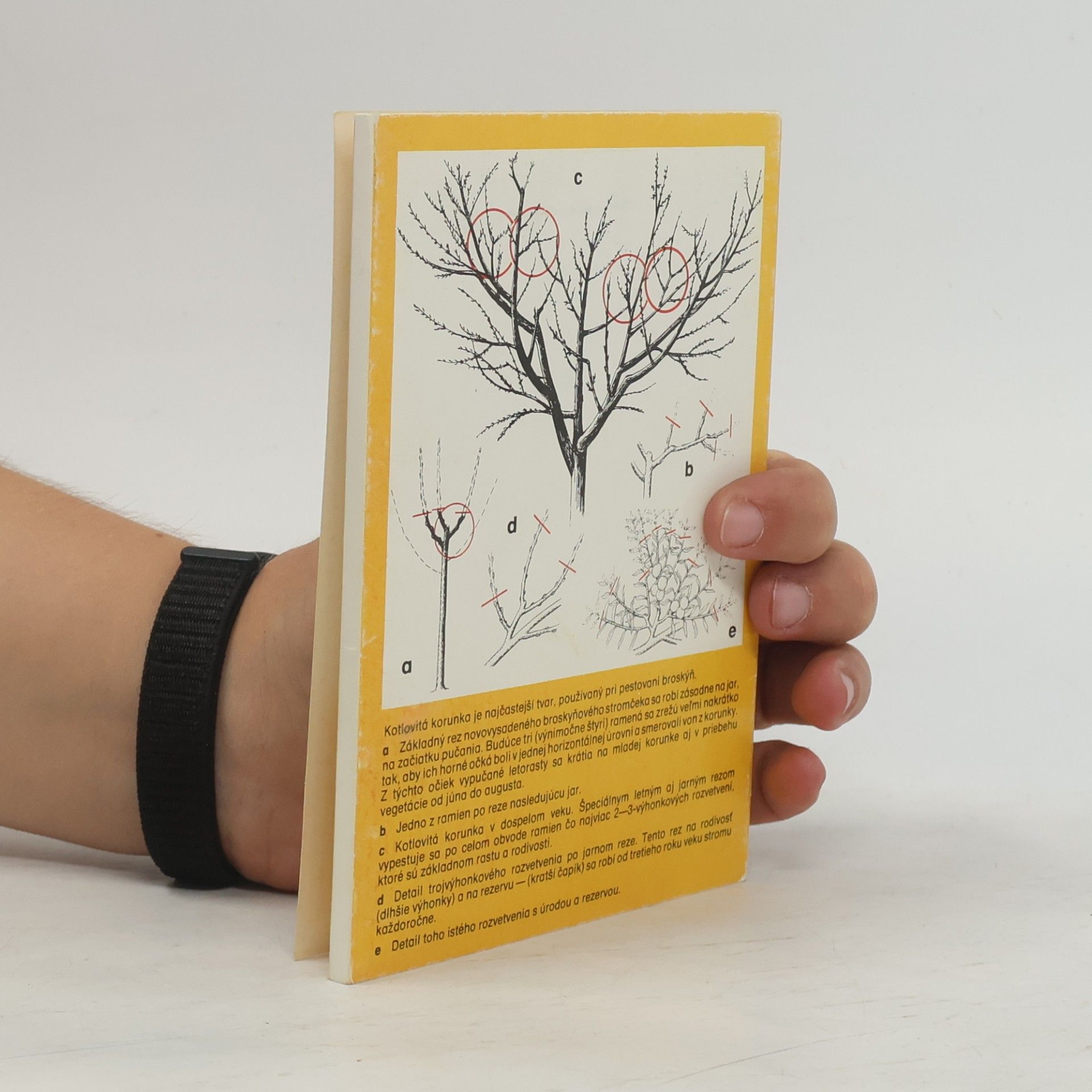 Autorenkollektiv Miniatlas pestovateľa ovocia