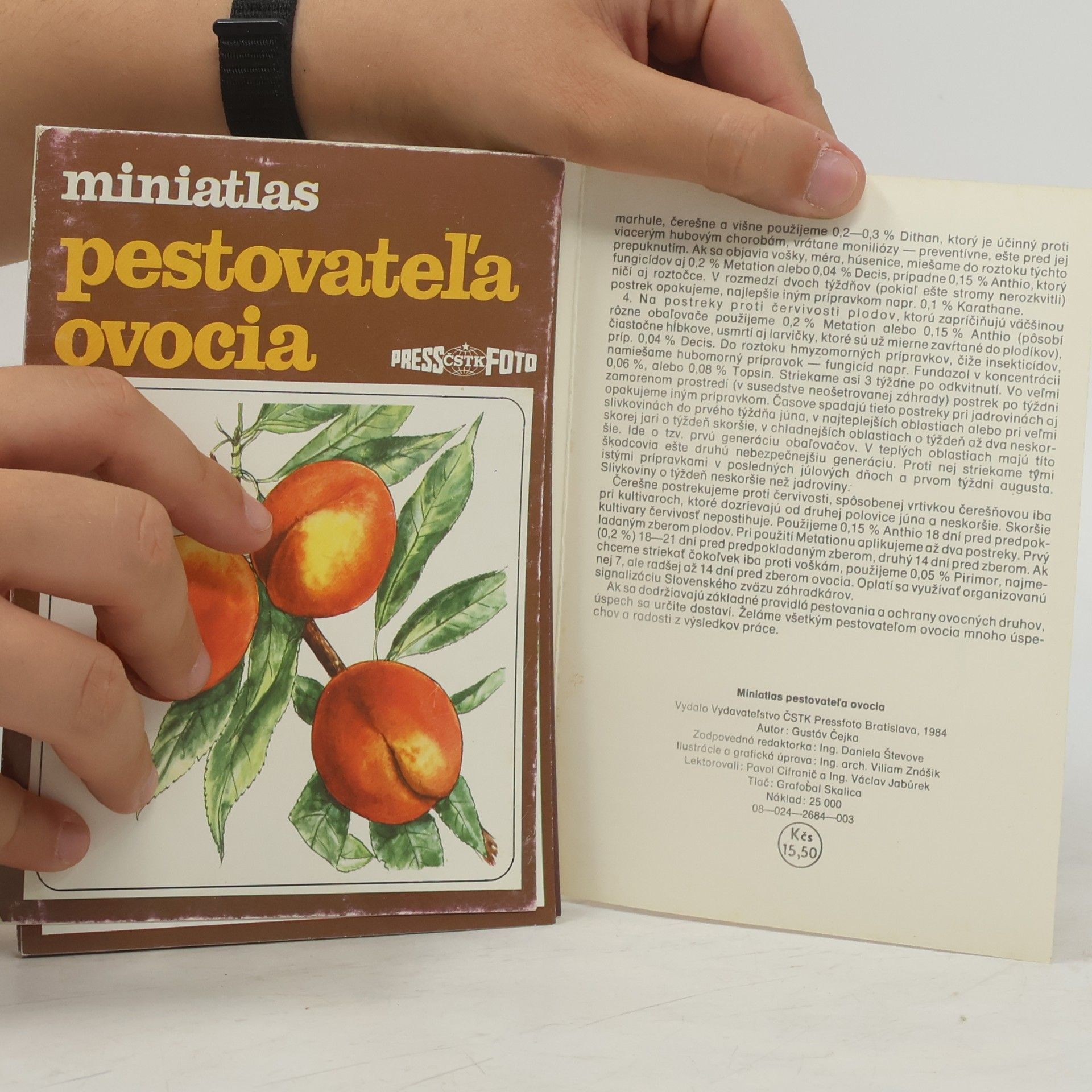 Autorenkollektiv Miniatlas pestovateľa ovocia