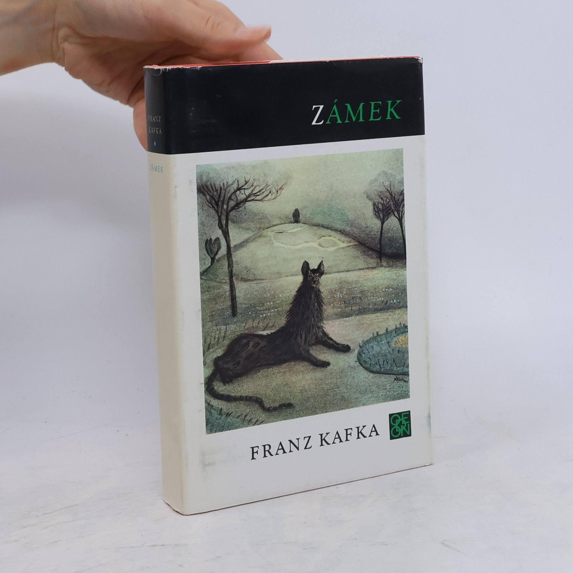 Franz Kafka Zámek