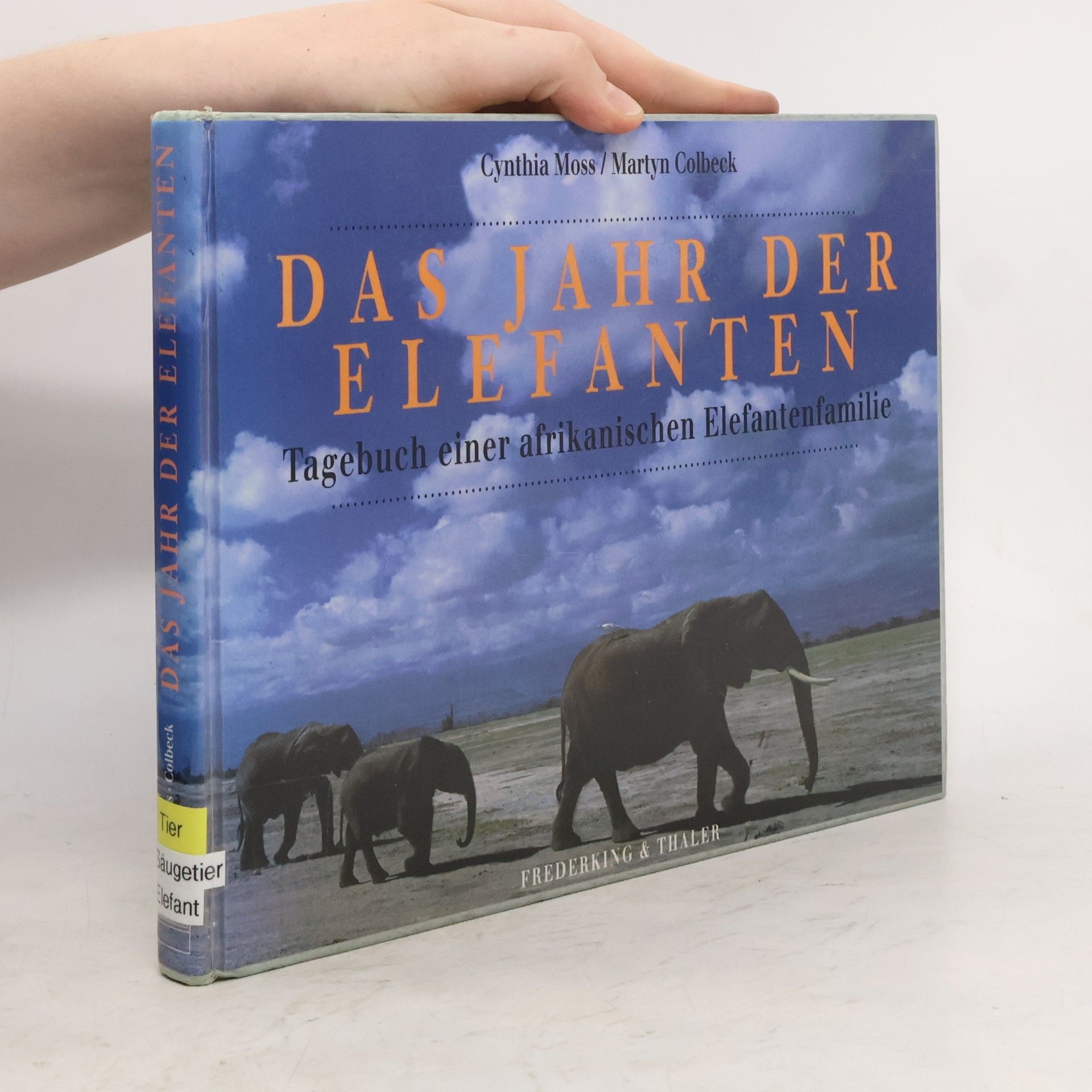 Cynthia Moss Das Jahr der Elephanten