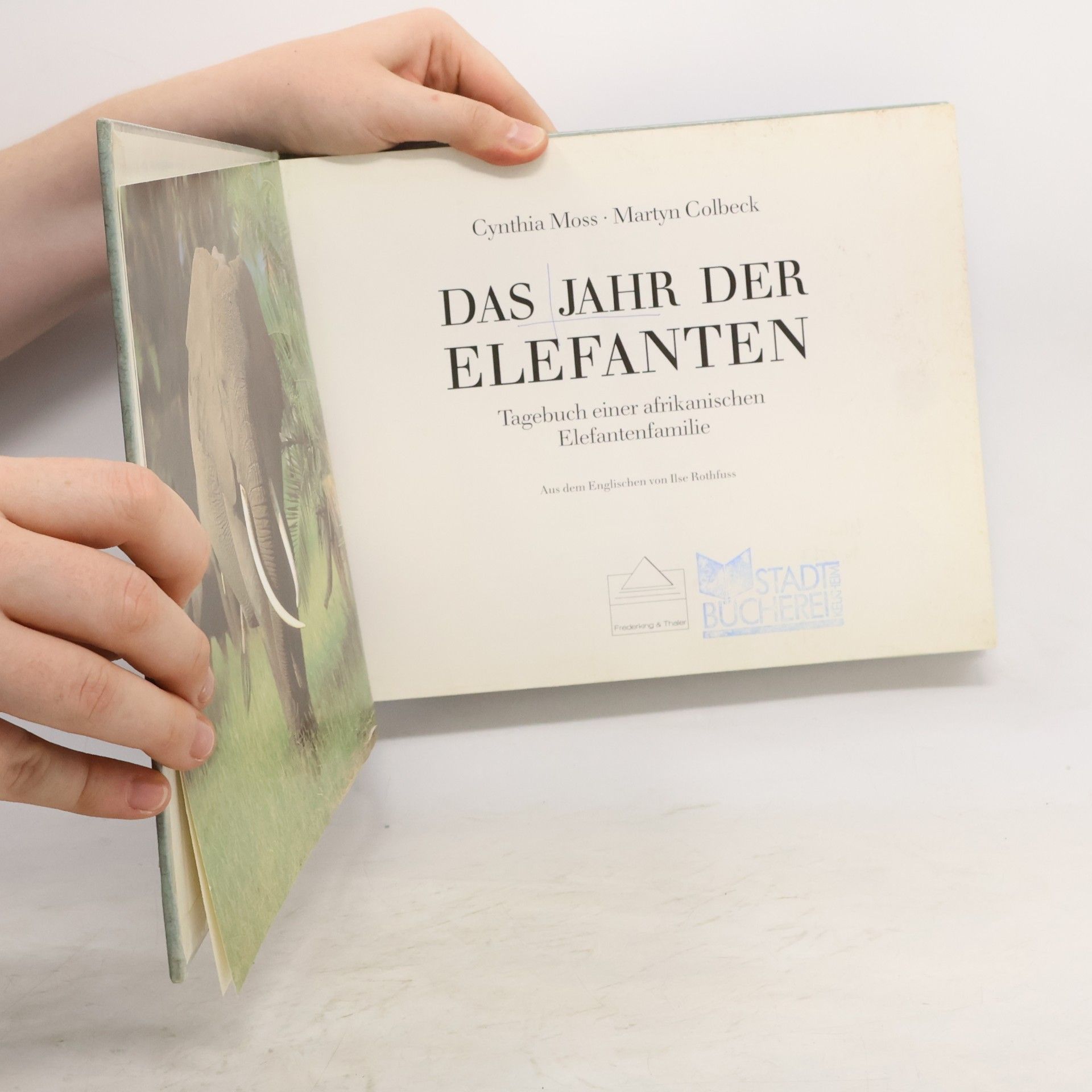 Cynthia Moss Das Jahr der Elephanten