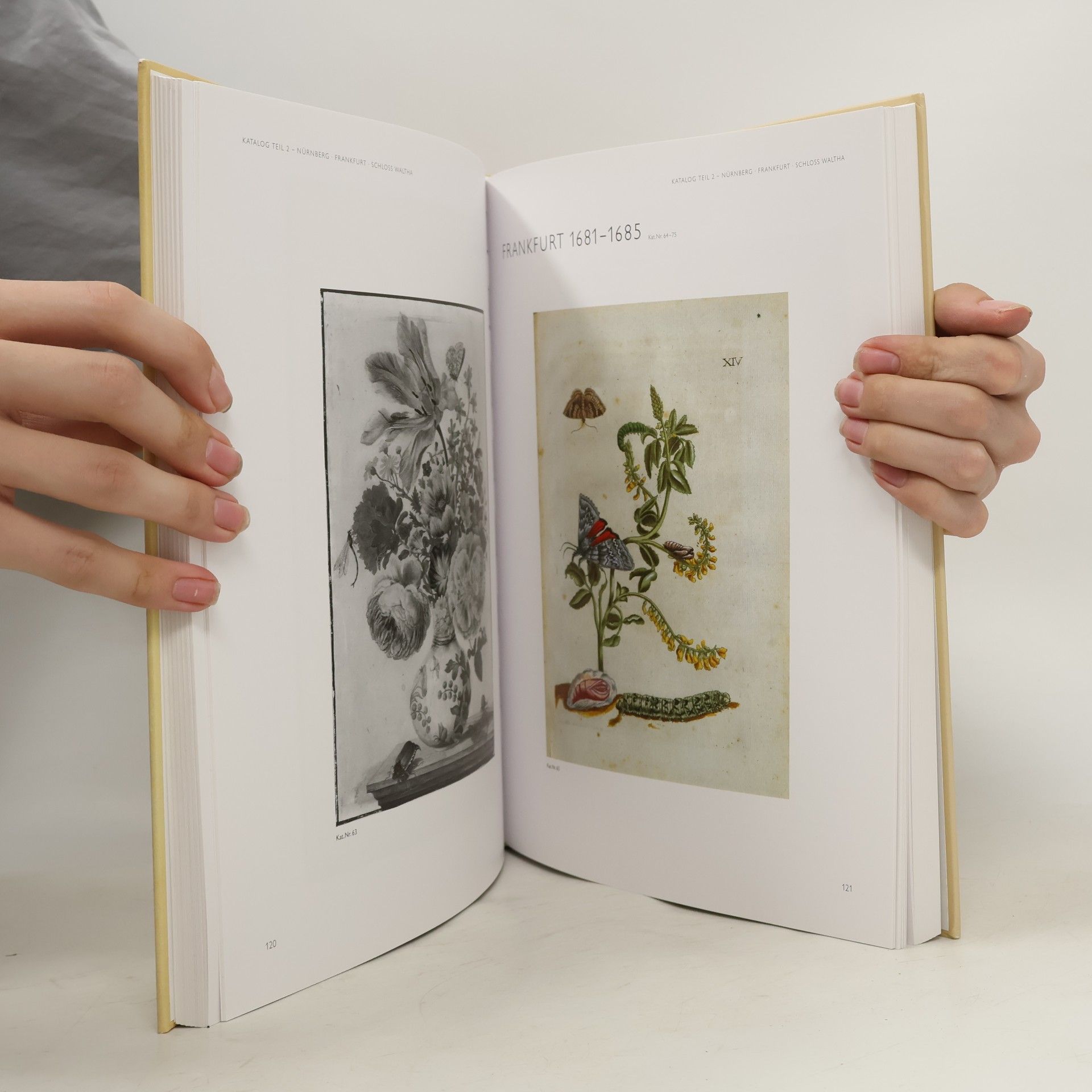 Kurt Wettengl Maria Sibylla Merian