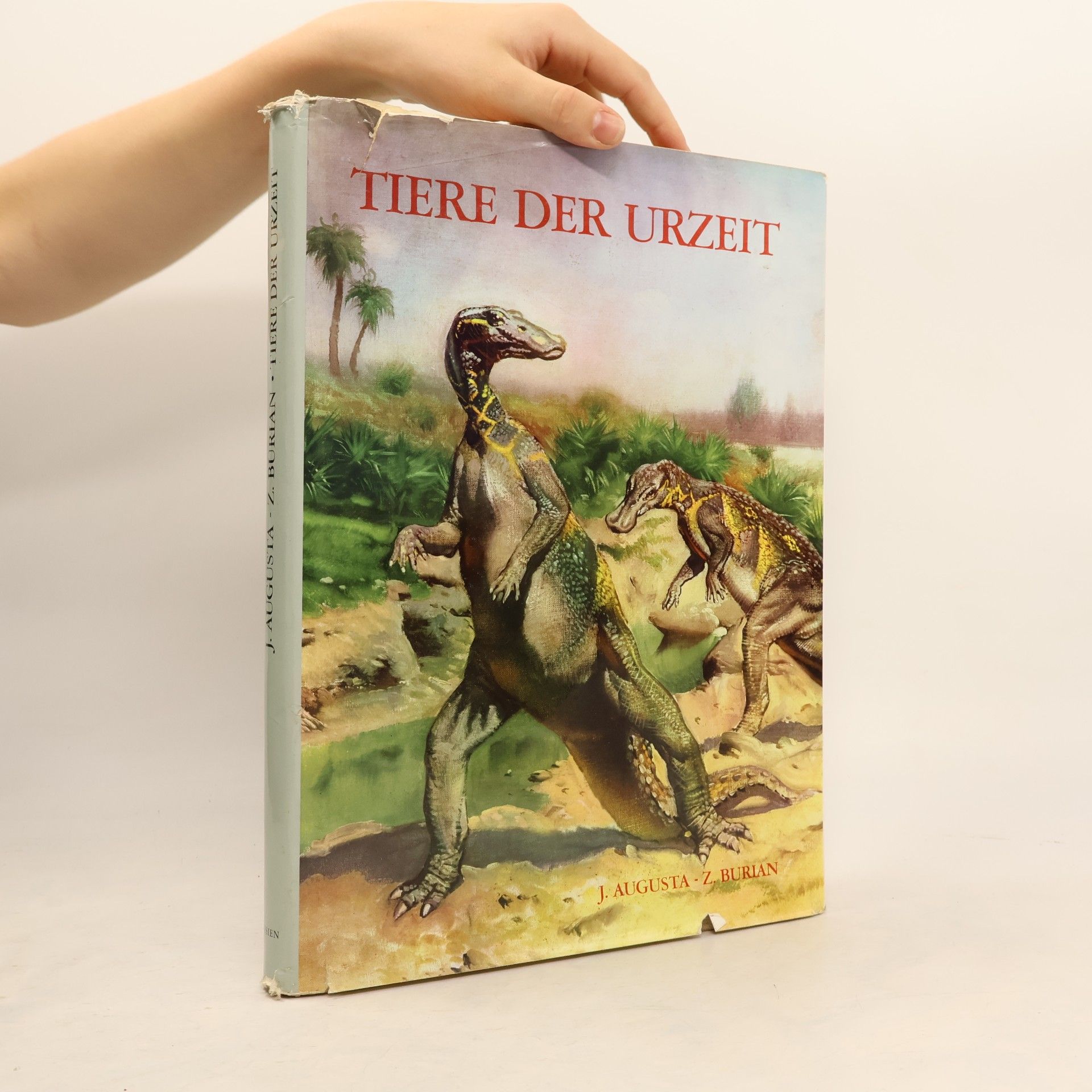 Autorenkollektiv Tiere der urzeit
