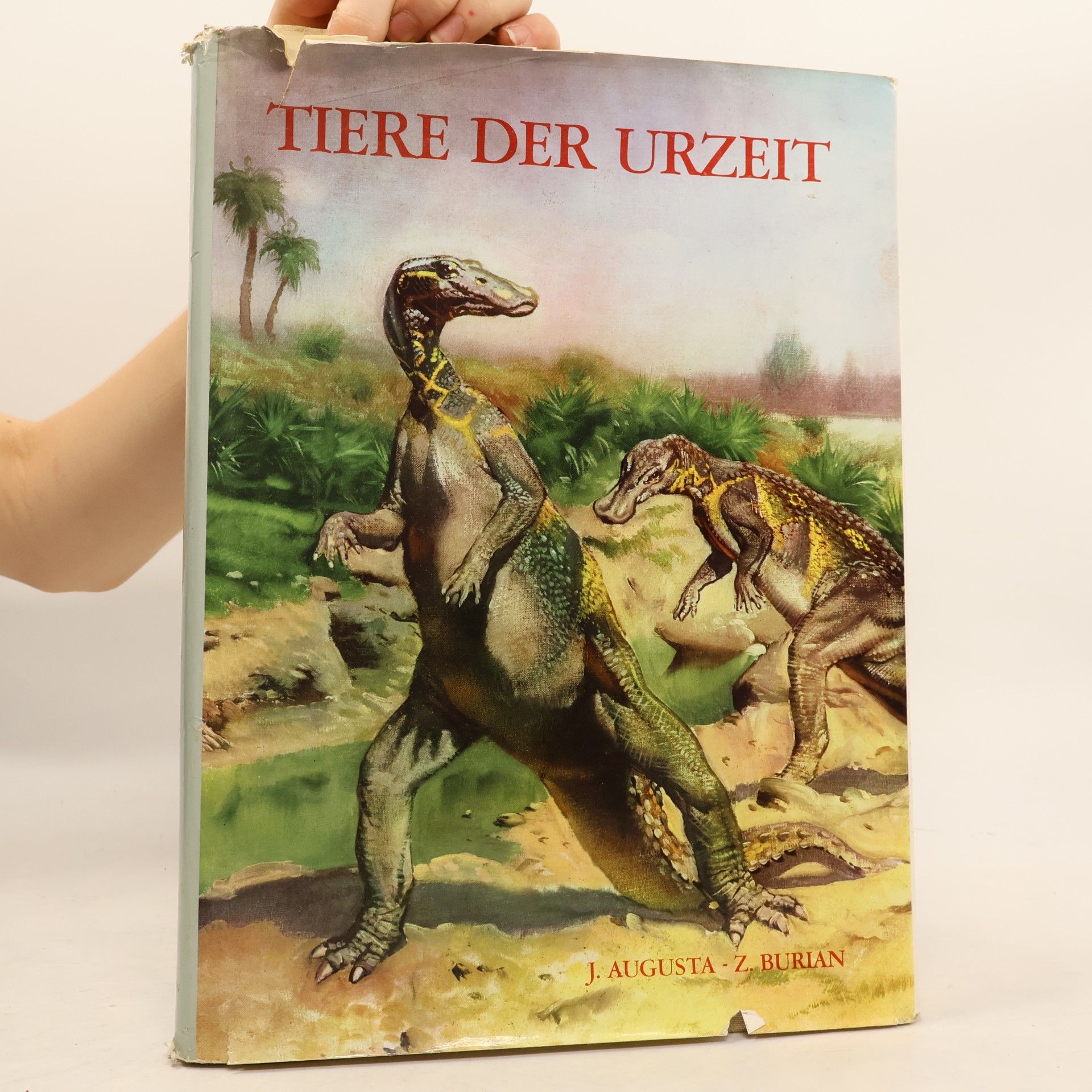 Autorenkollektiv Tiere der urzeit