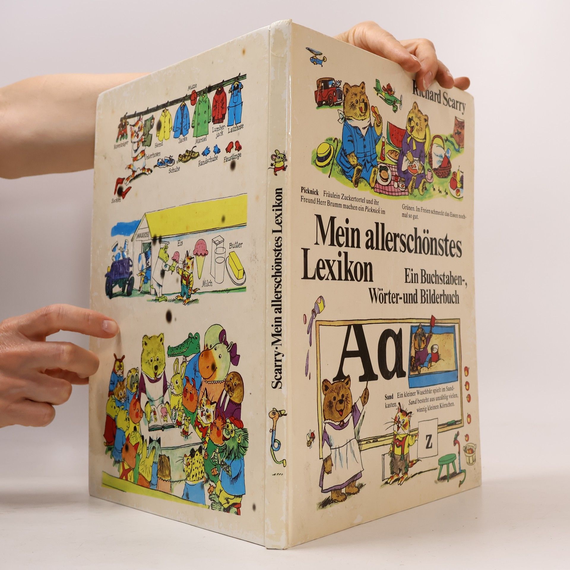 Richard Scarry Mein allerschönstes Lexikon