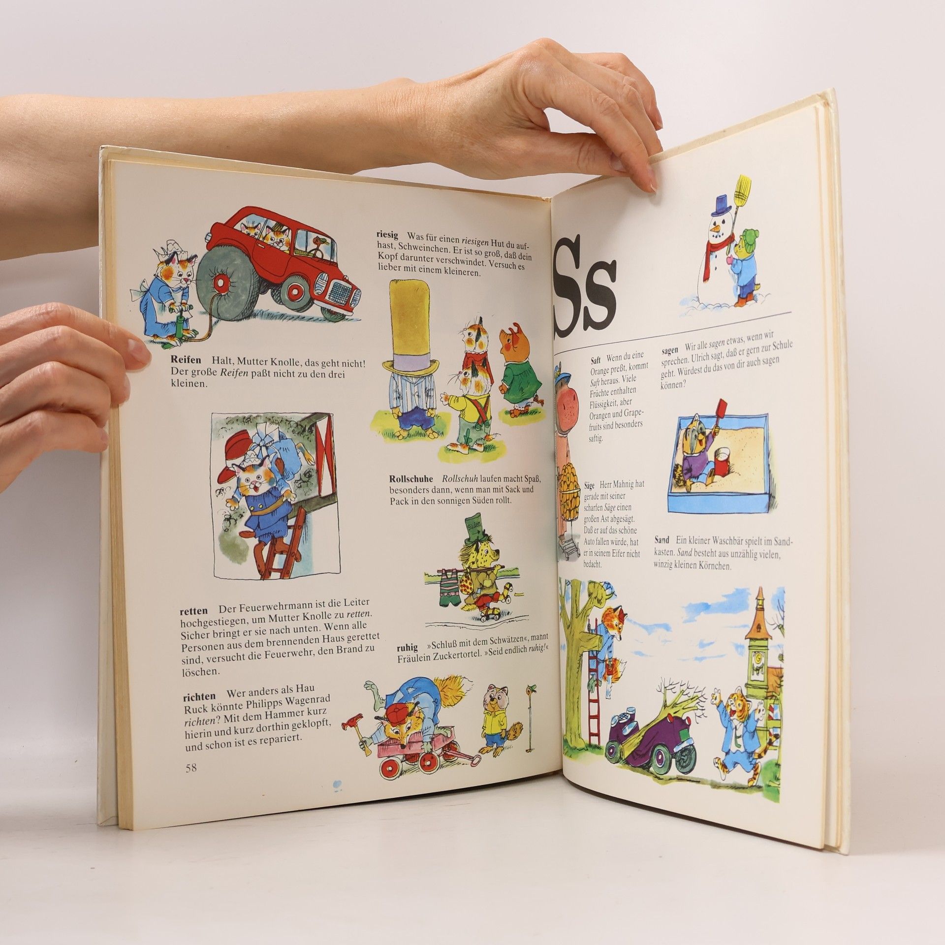 Richard Scarry Mein allerschönstes Lexikon