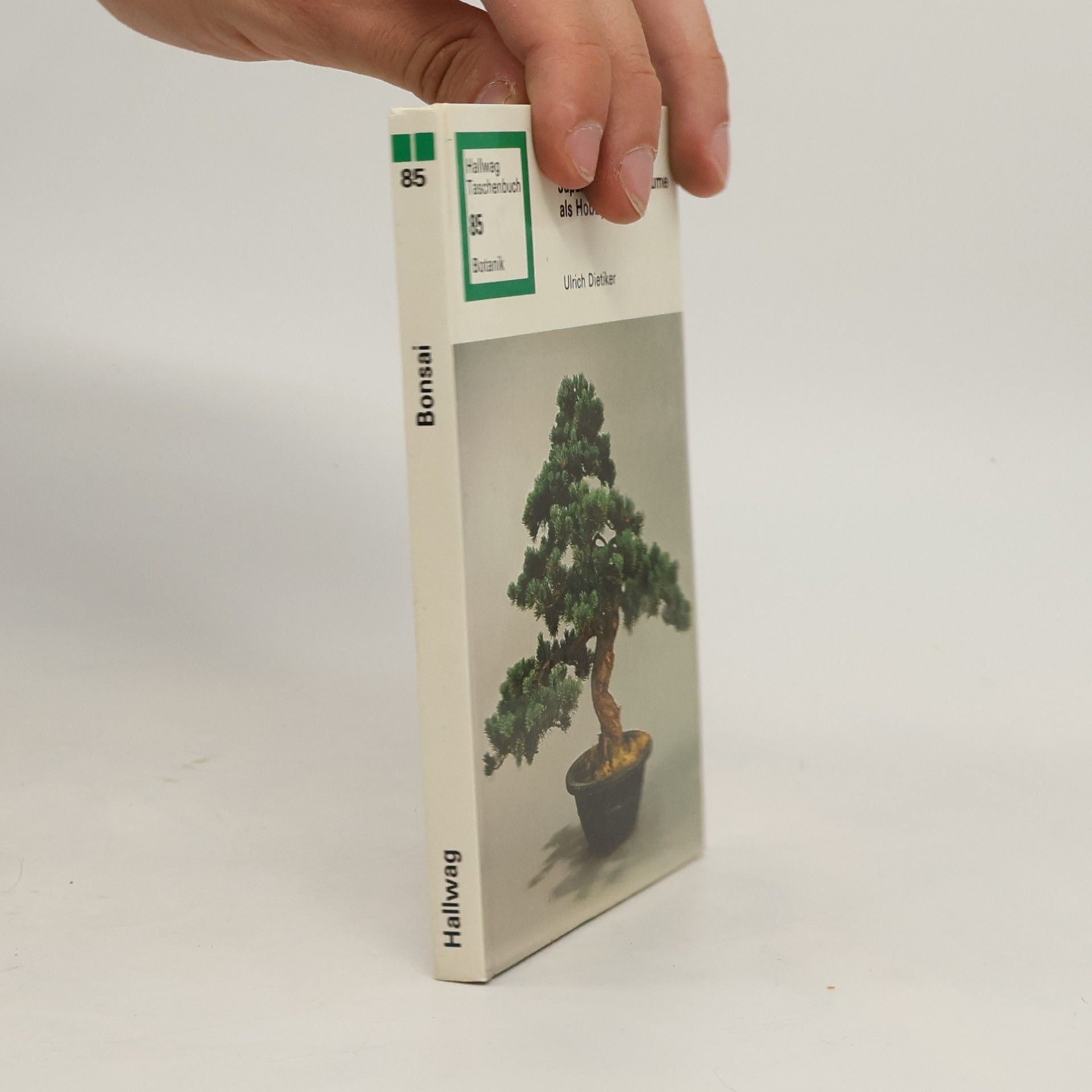 Ulrich Dietiker Bonsai