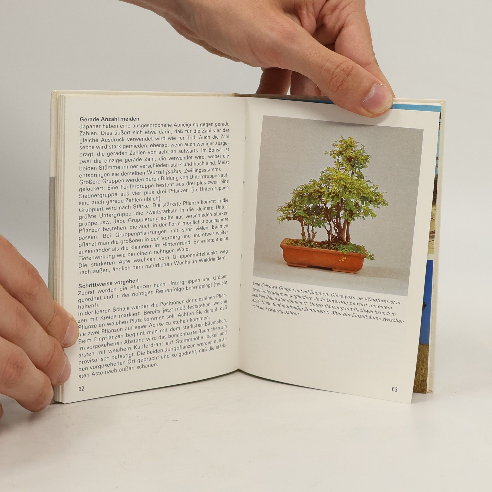 Ulrich Dietiker Bonsai