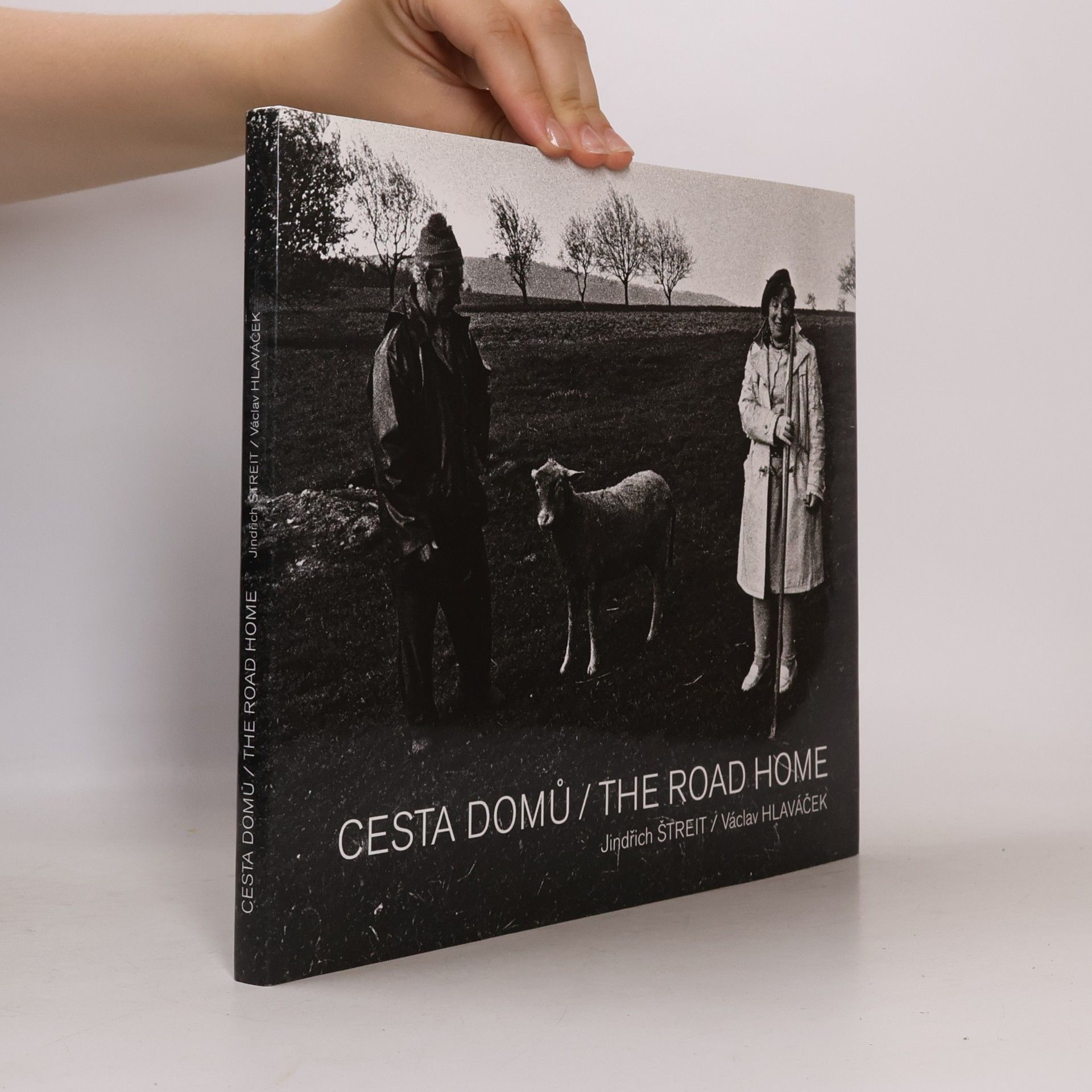 Cesta domů = The road home