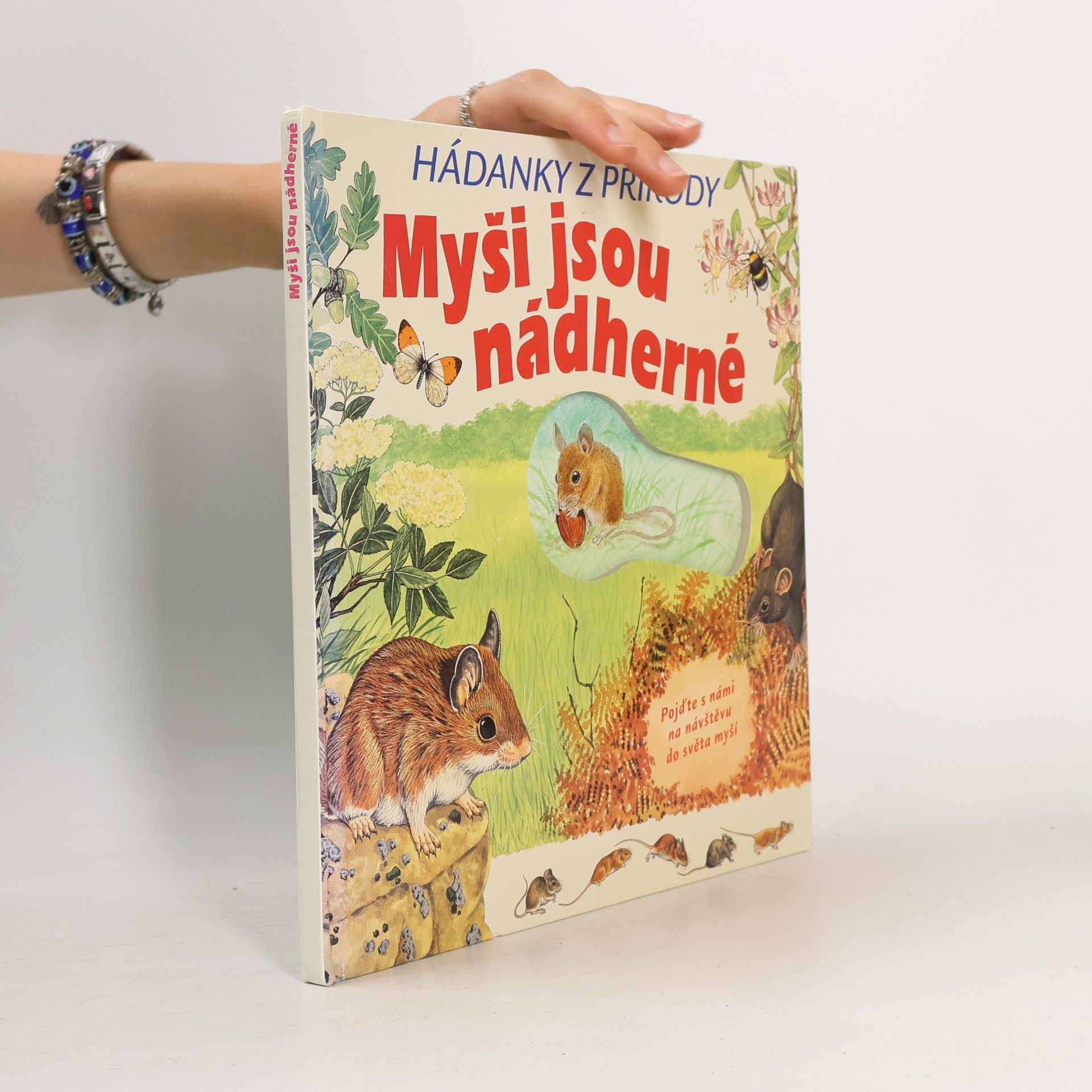Robin Robbins Myši jsou nádherné