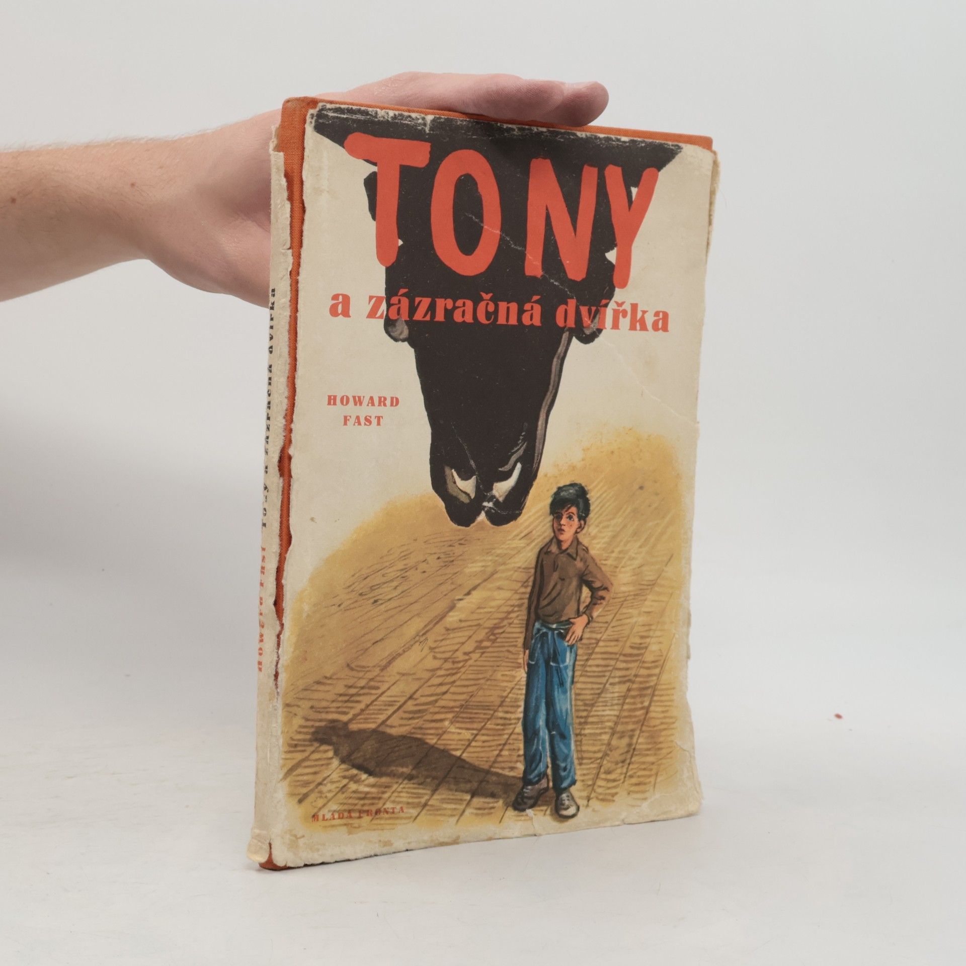 Zora Wolfová Tony a zázračná dvířka