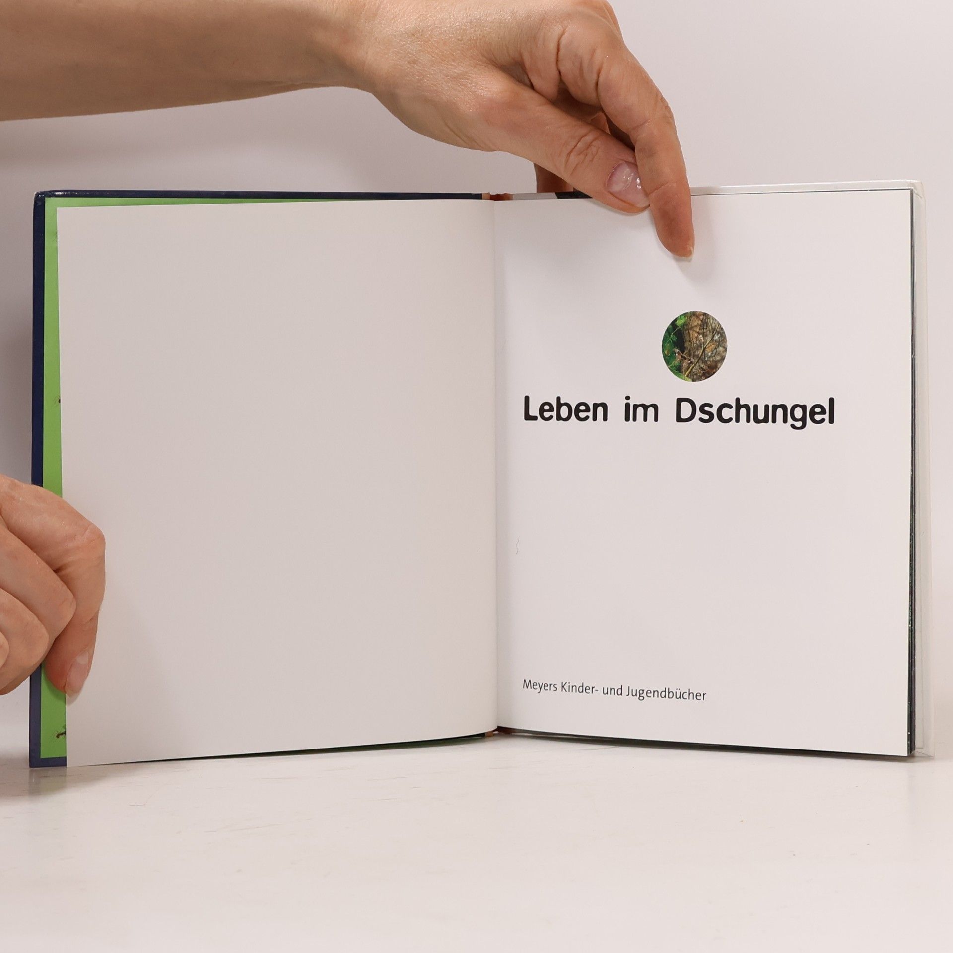 Various authors Licht an! Leben im Dschungel
