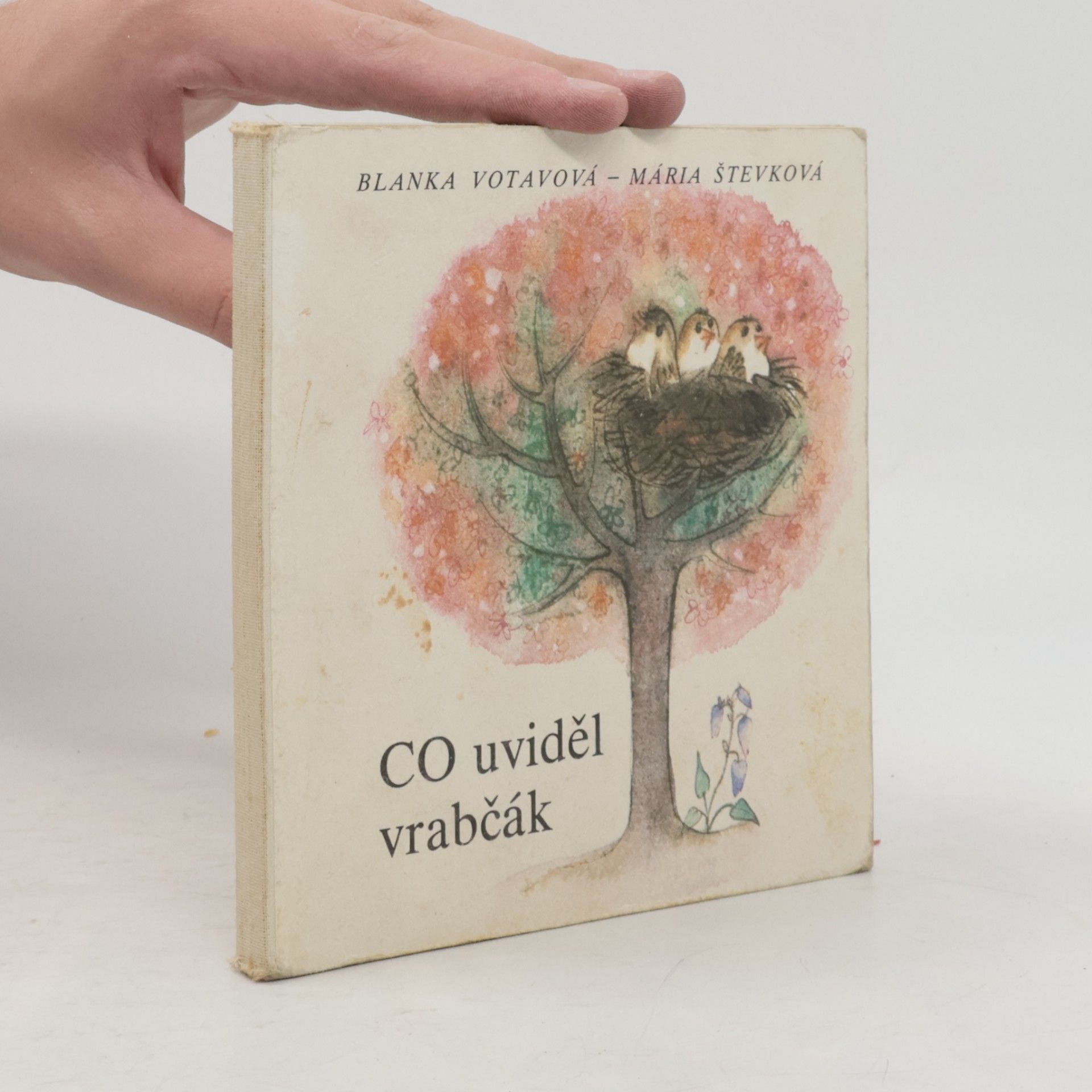 Čo uvidel vrabček