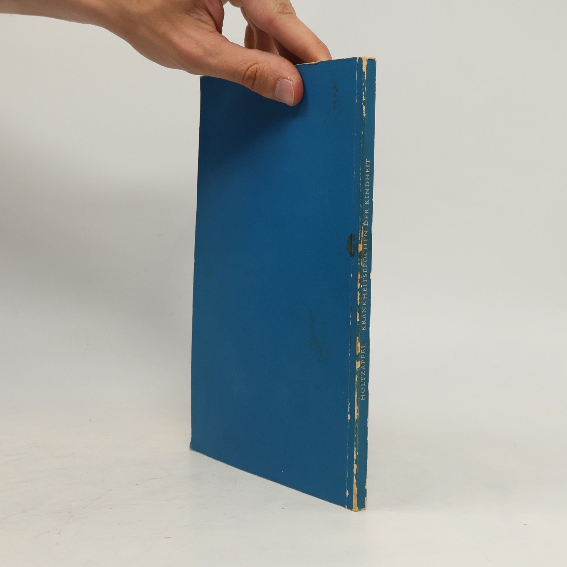 Walter Holtzapfel Krankheitsepochen der Kindheit