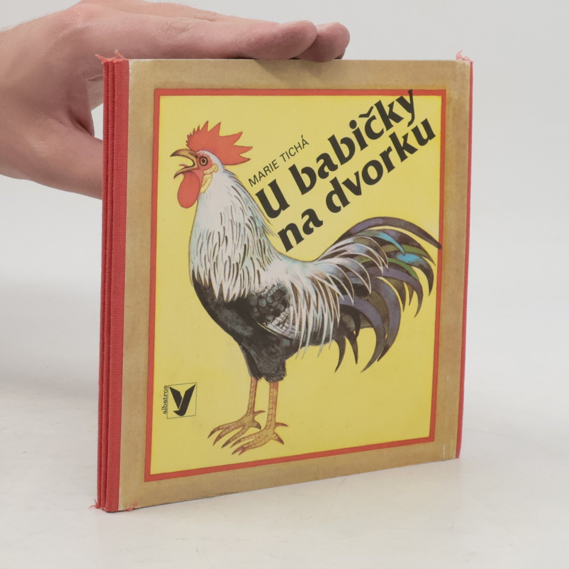 U babičky na dvorku