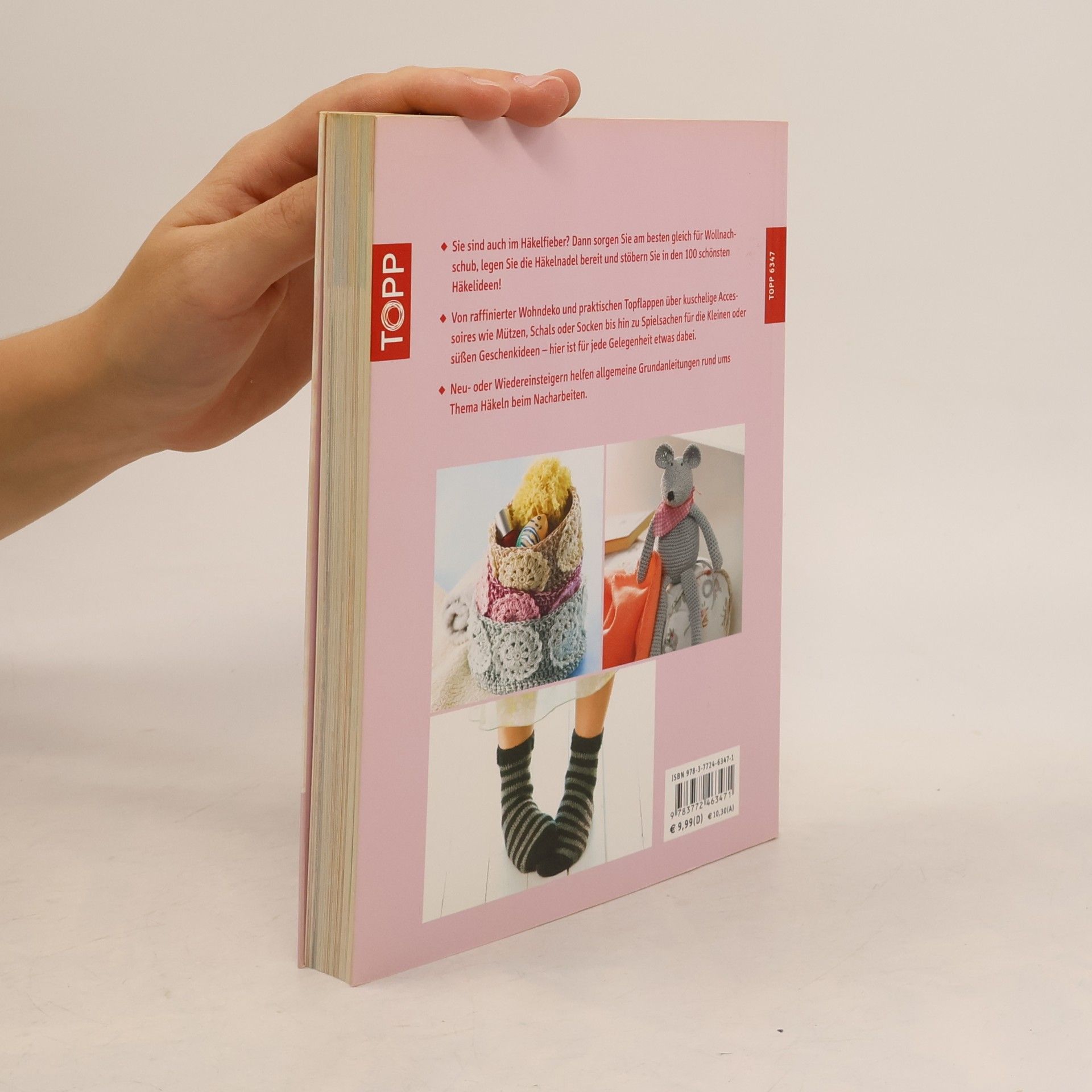 Autores varios Die 100 schönsten Häkelideen