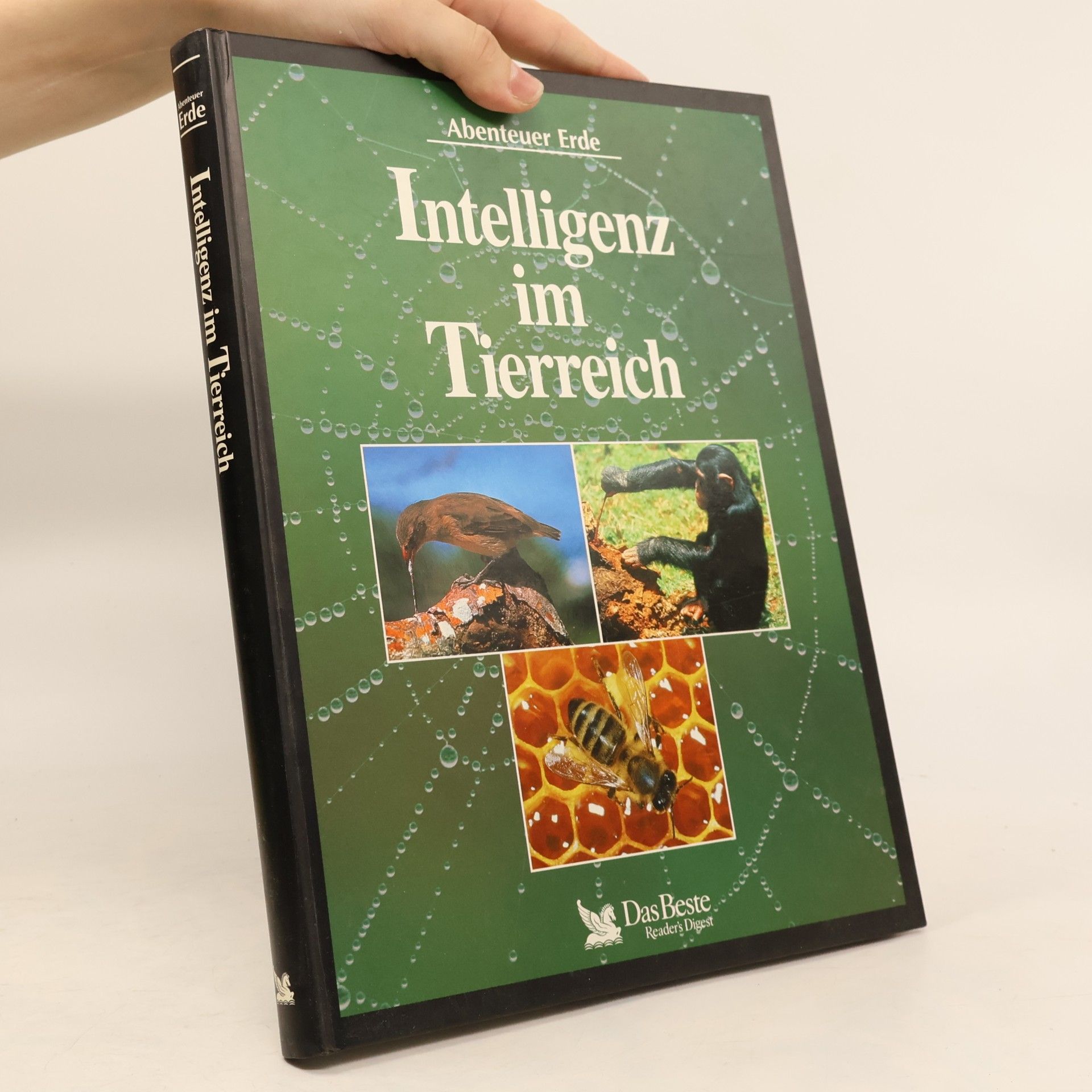 Autorenkollektiv Intelligenz im Tierreich