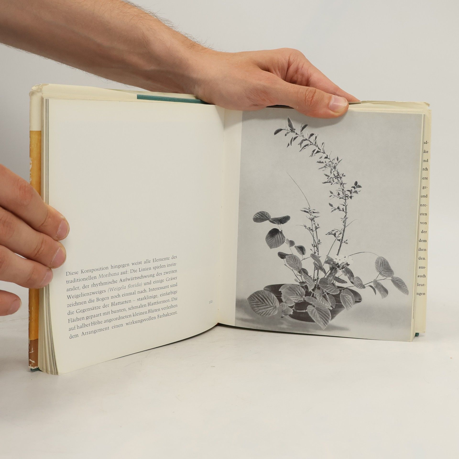 Tatsuo Ishimoto Japanische Blumenkunst