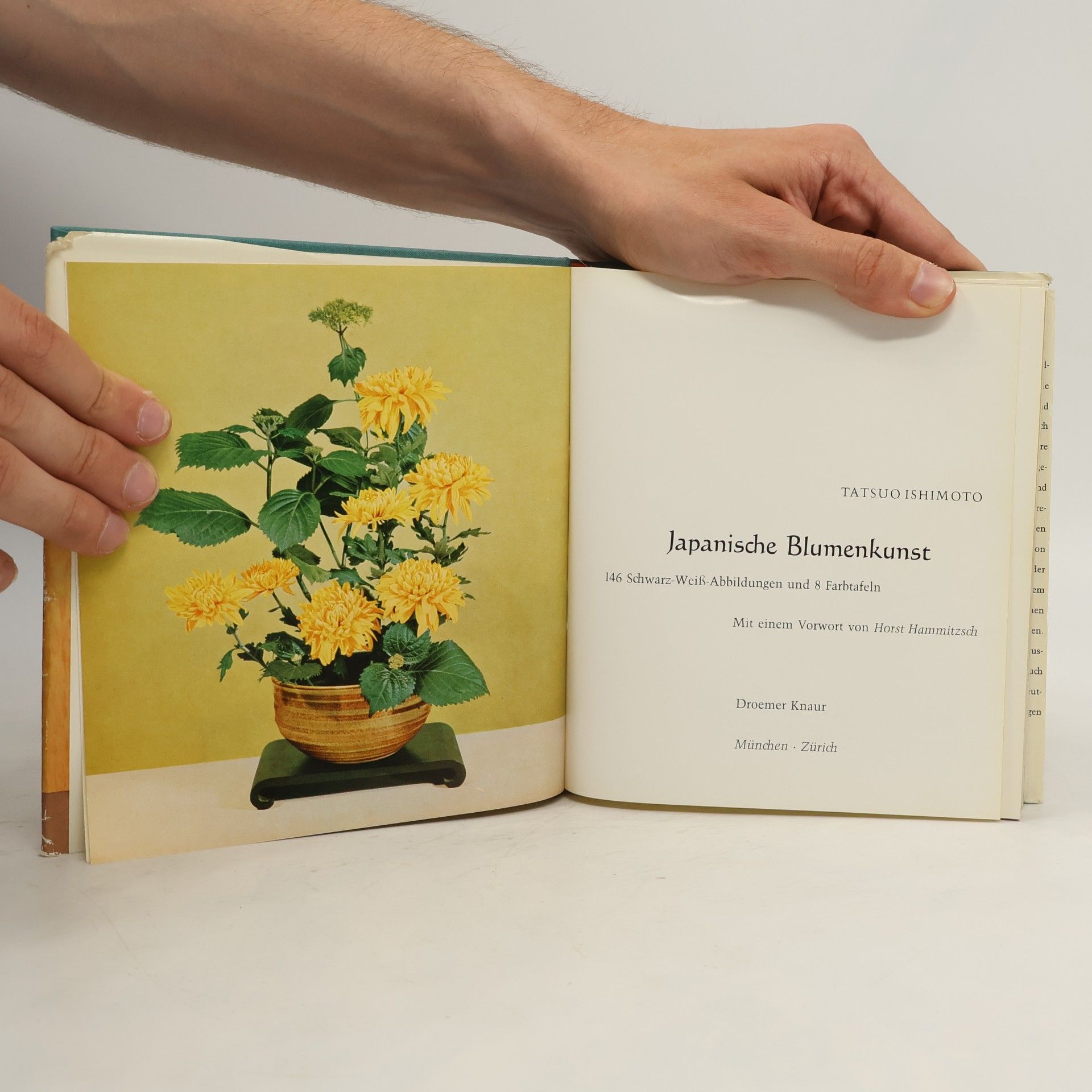 Tatsuo Ishimoto Japanische Blumenkunst