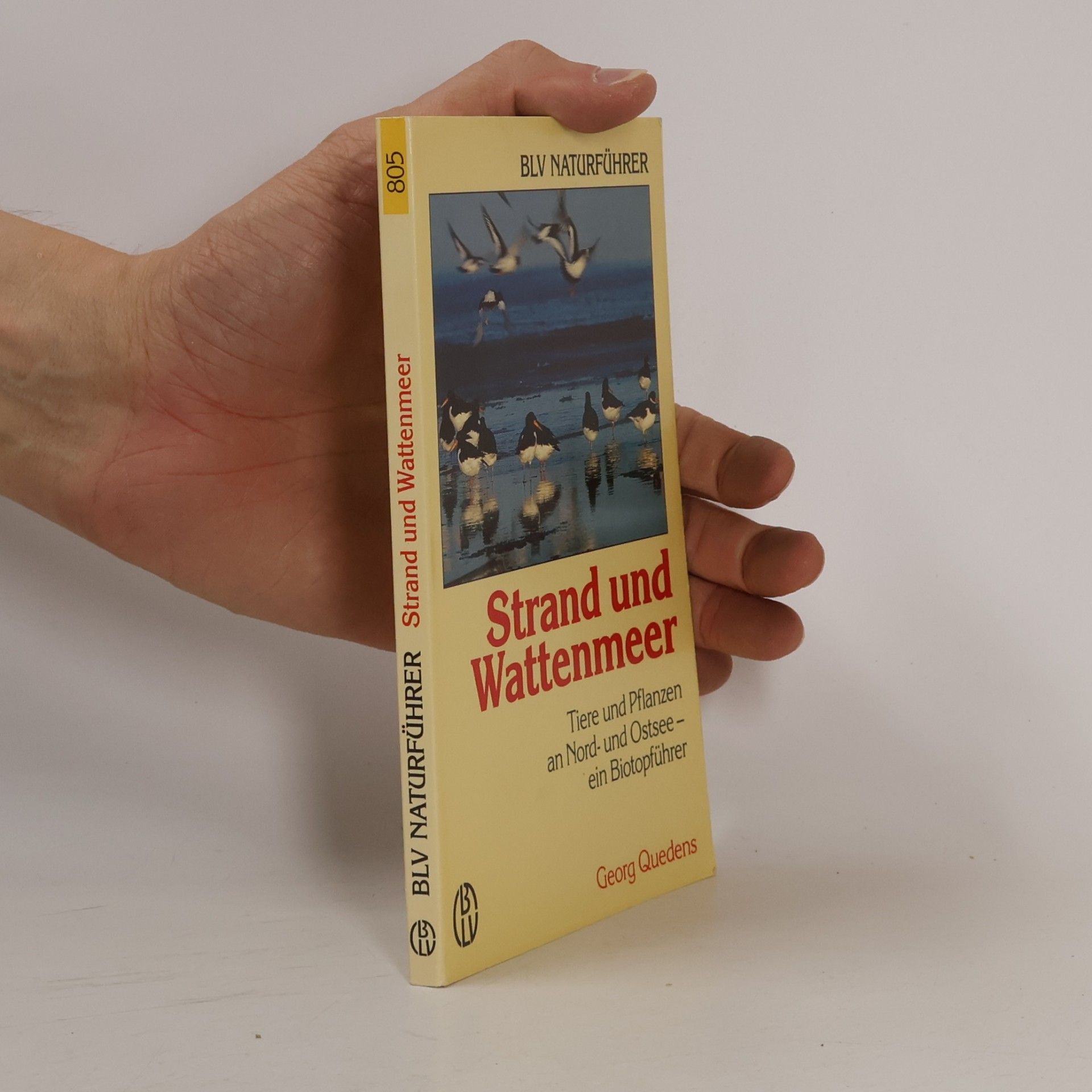 Georg Quedens Strand und Wattenmeer