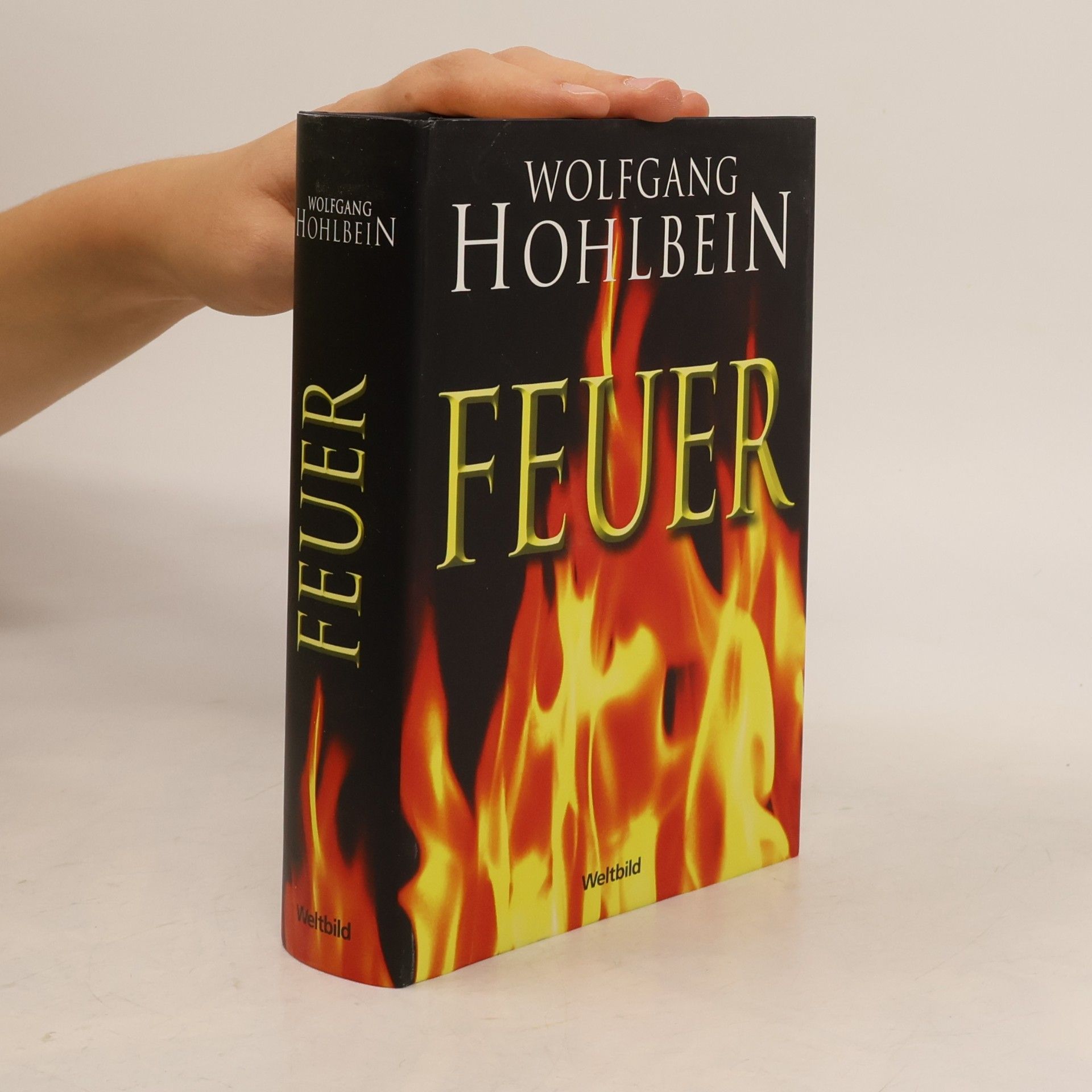 Wolfgang Hohlbein Feuer