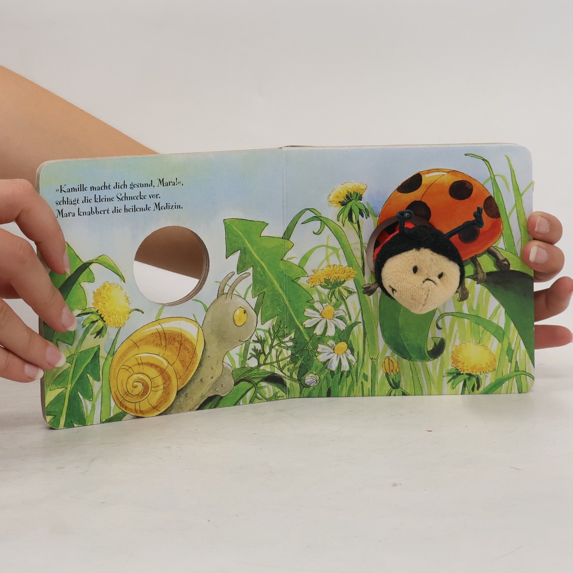 Antje Flad Mein Fingerpuppenbuch mit Marienkäfer Mara