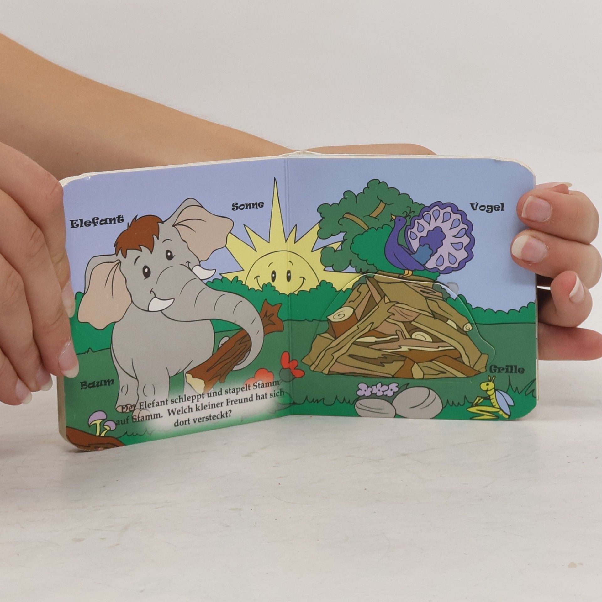 Autorenkollektiv Verstecken spielen. Bekannte Tiere aus dem Zoo