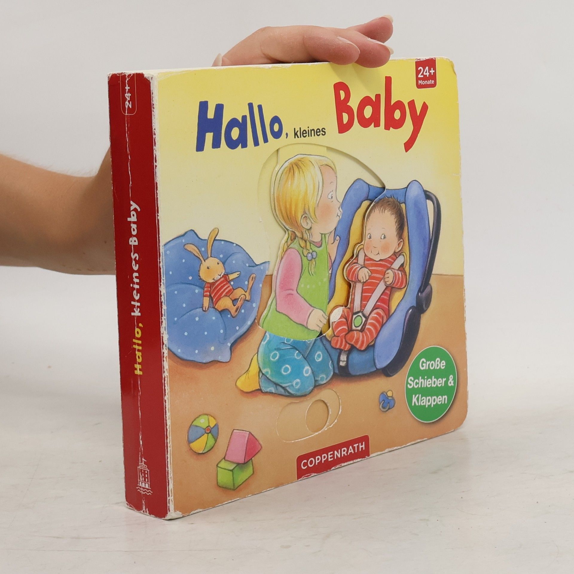 Regine Altegoer Hallo, kleines Baby
