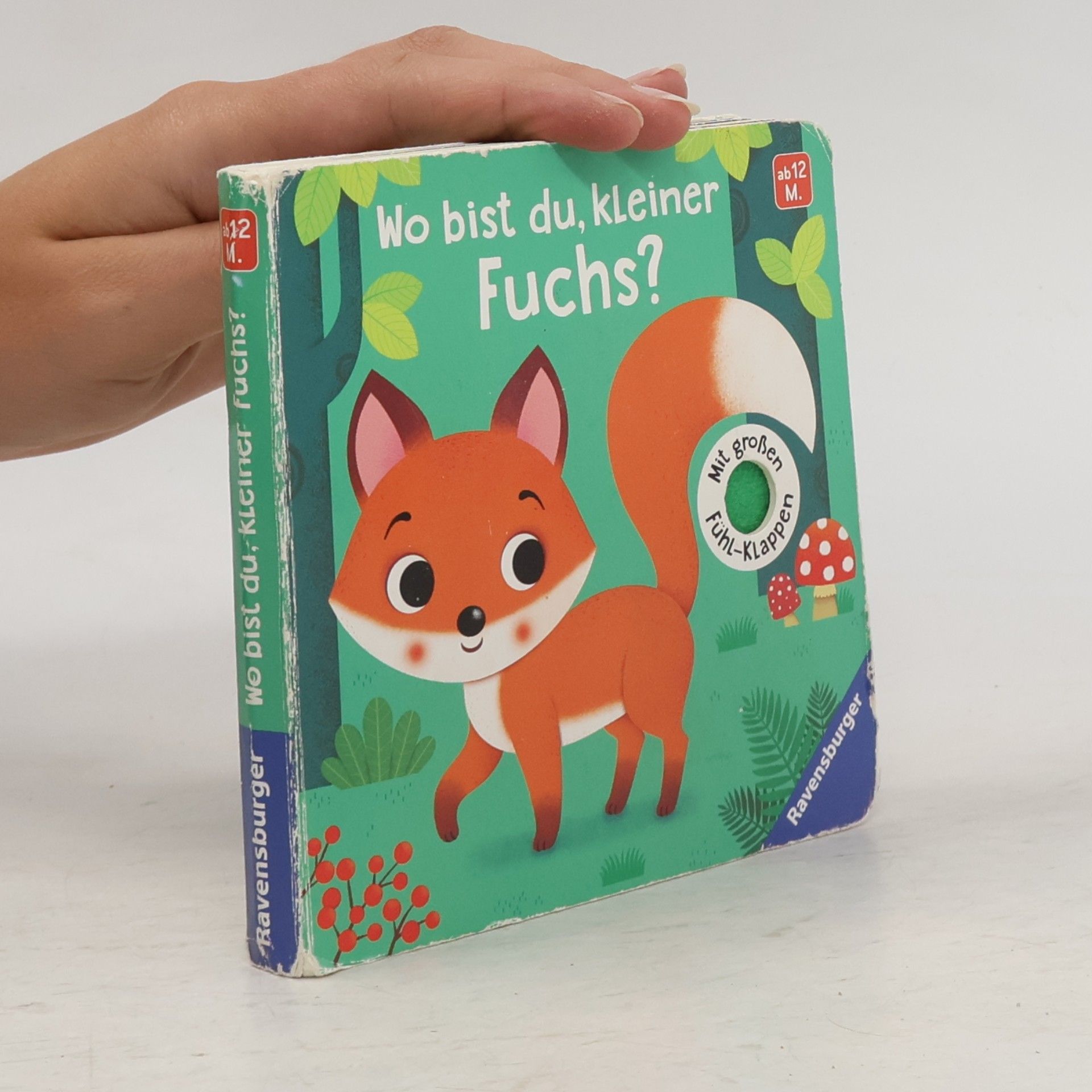 Klara Tünner Wo bist du, kleiner Fuchs?