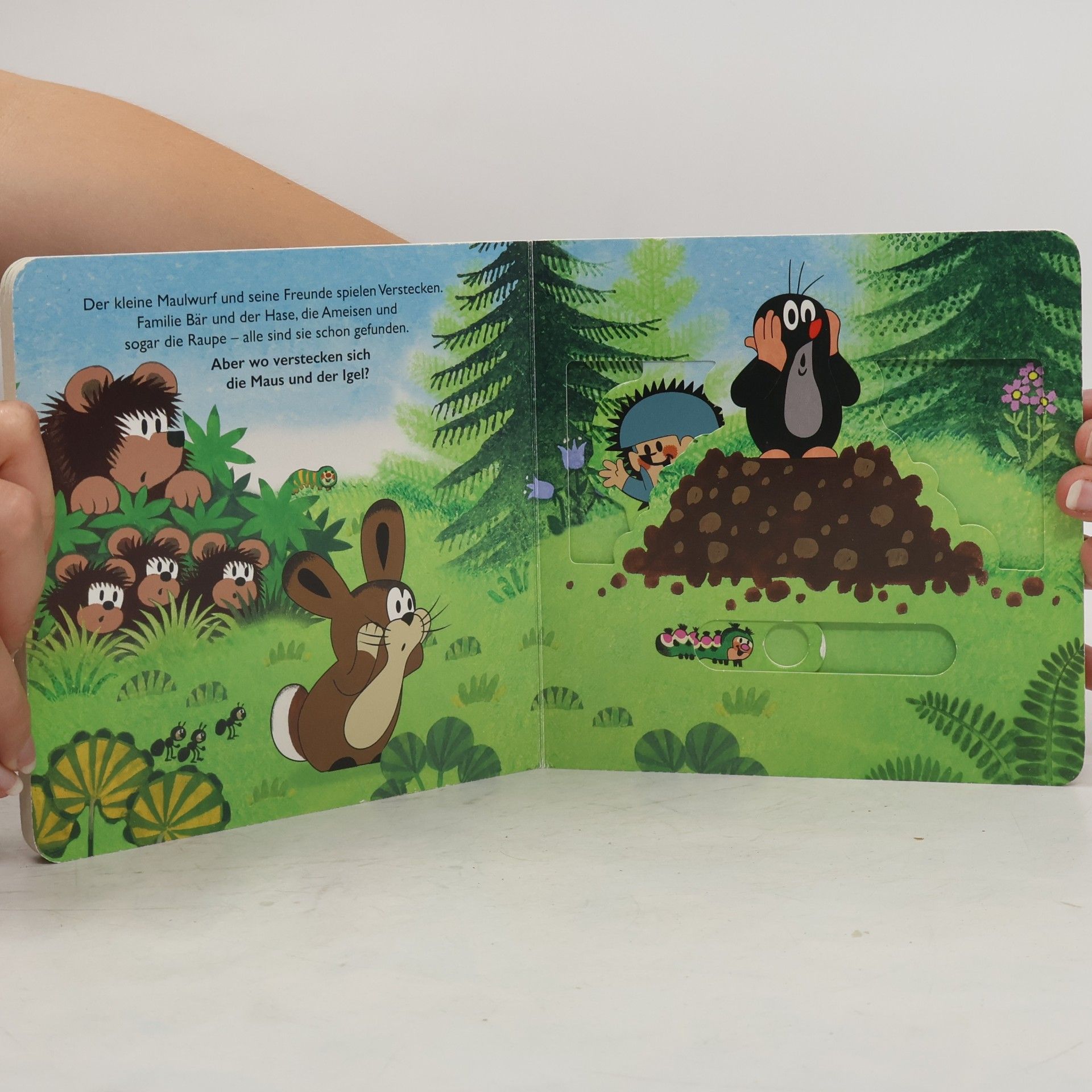 Autorenkollektiv Mein erstes Spielbuch "Der kleine Maulwurf" ab 18 Monate