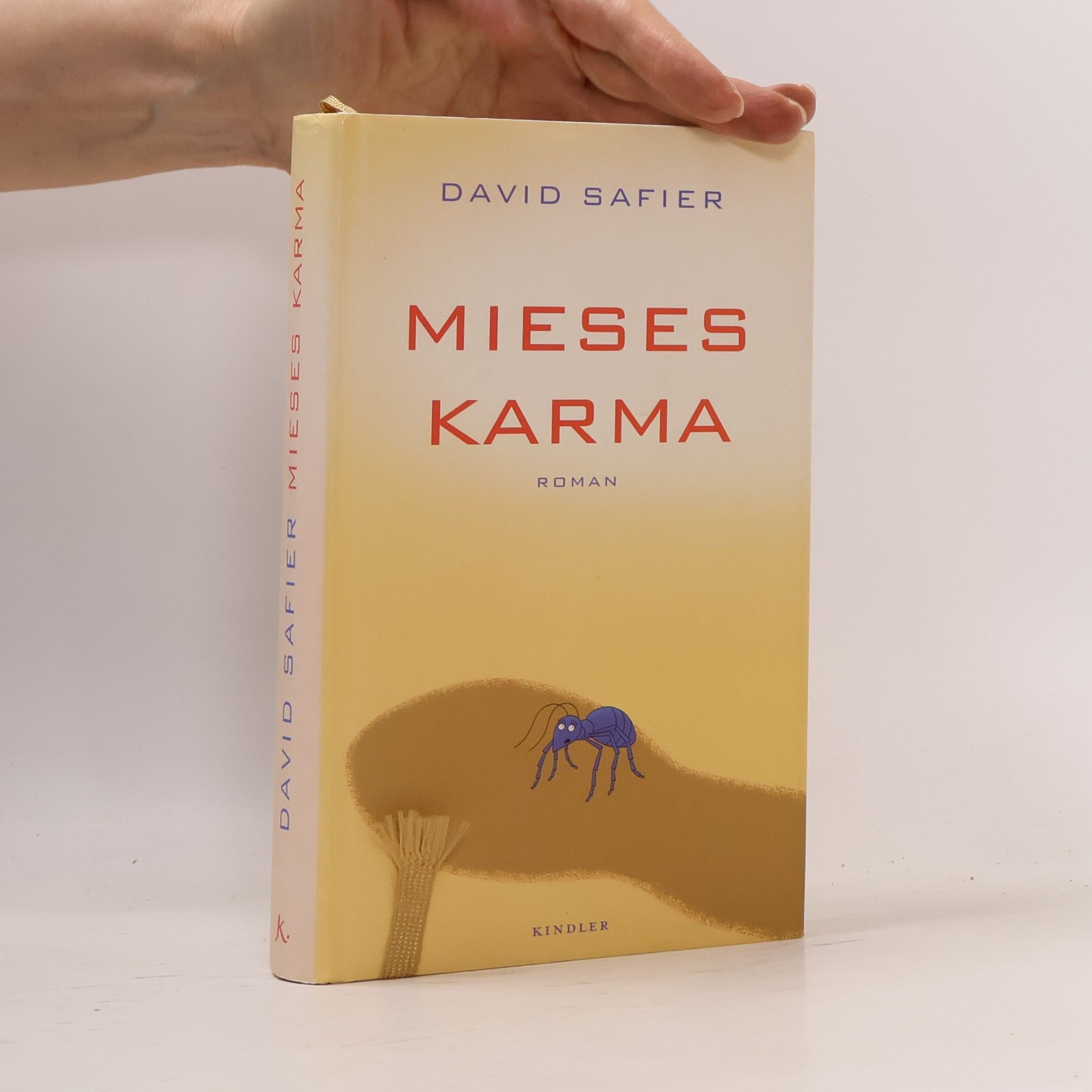 David Safier Mieses Karma