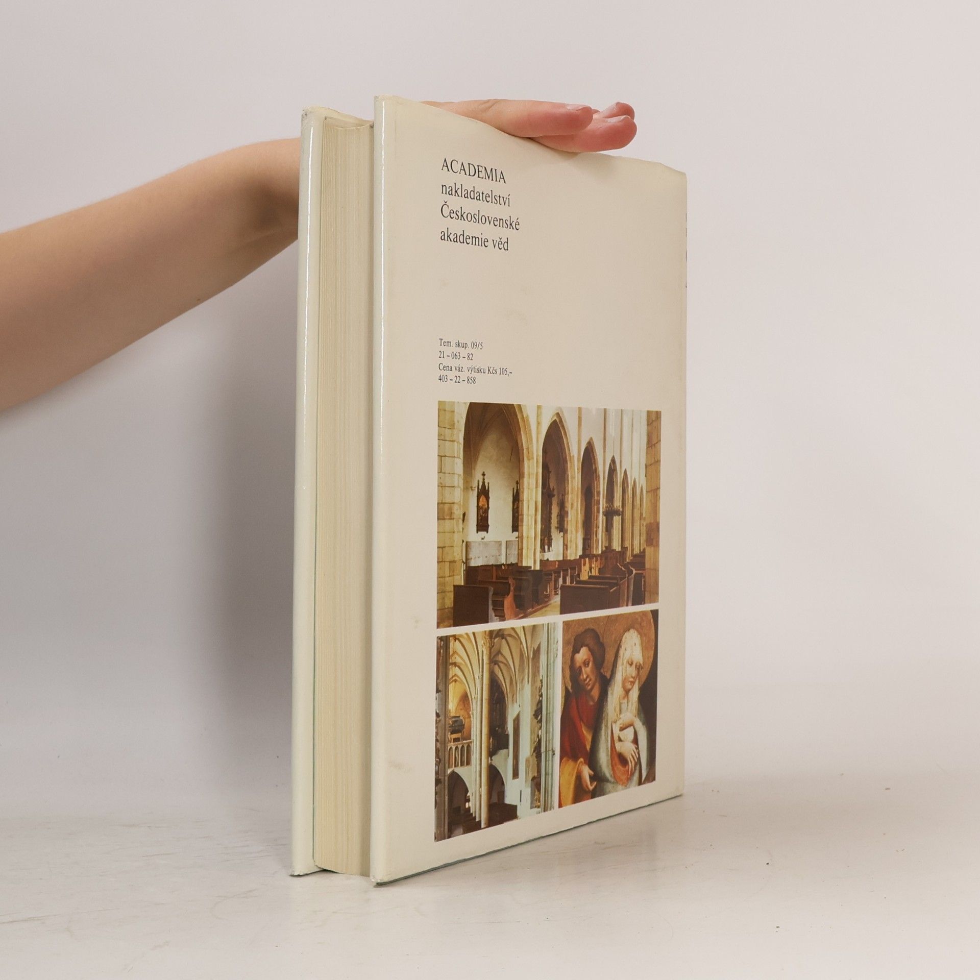 Various authors Umělecké památky Čech 4. T-Ž